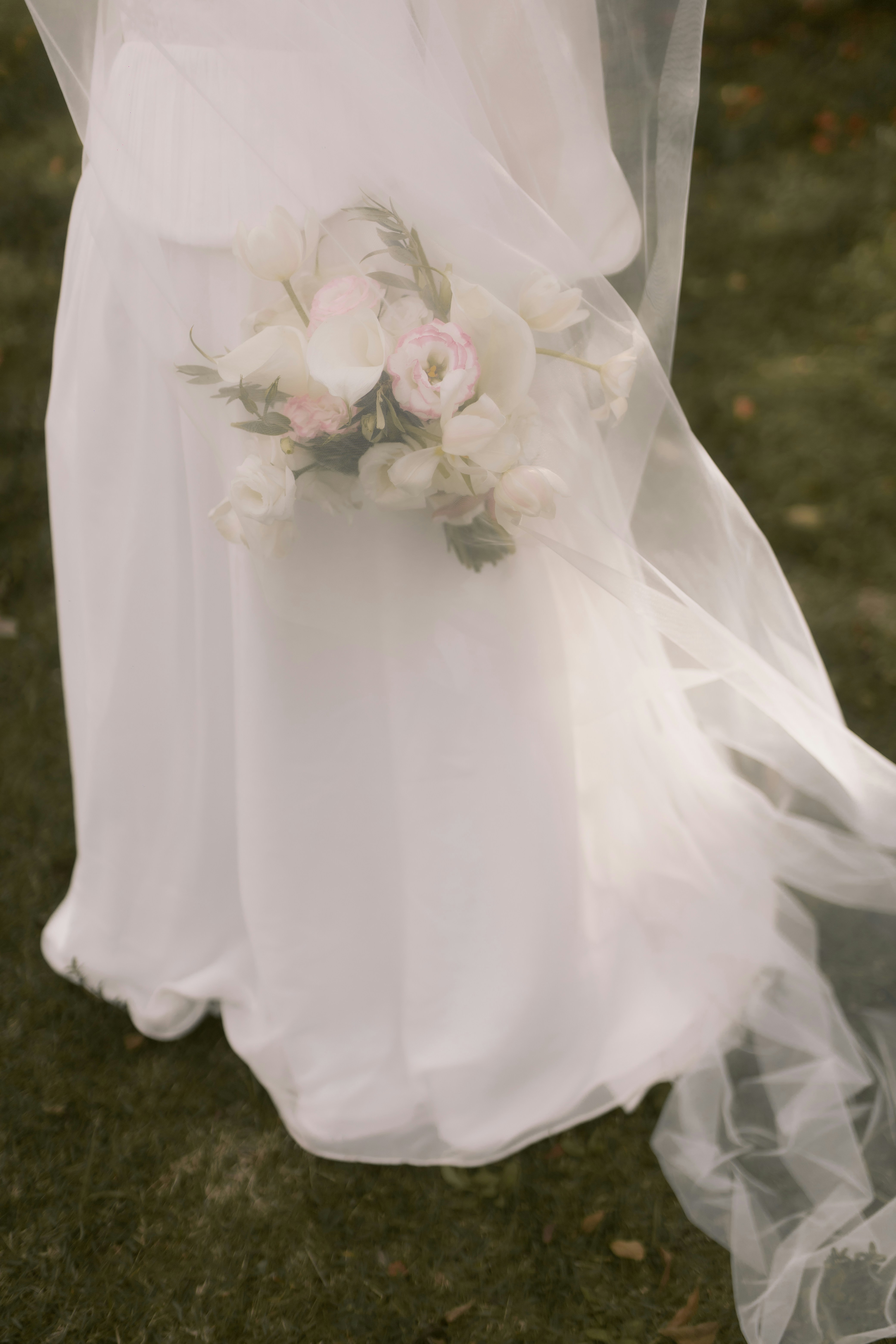 Photo by alexandermassph