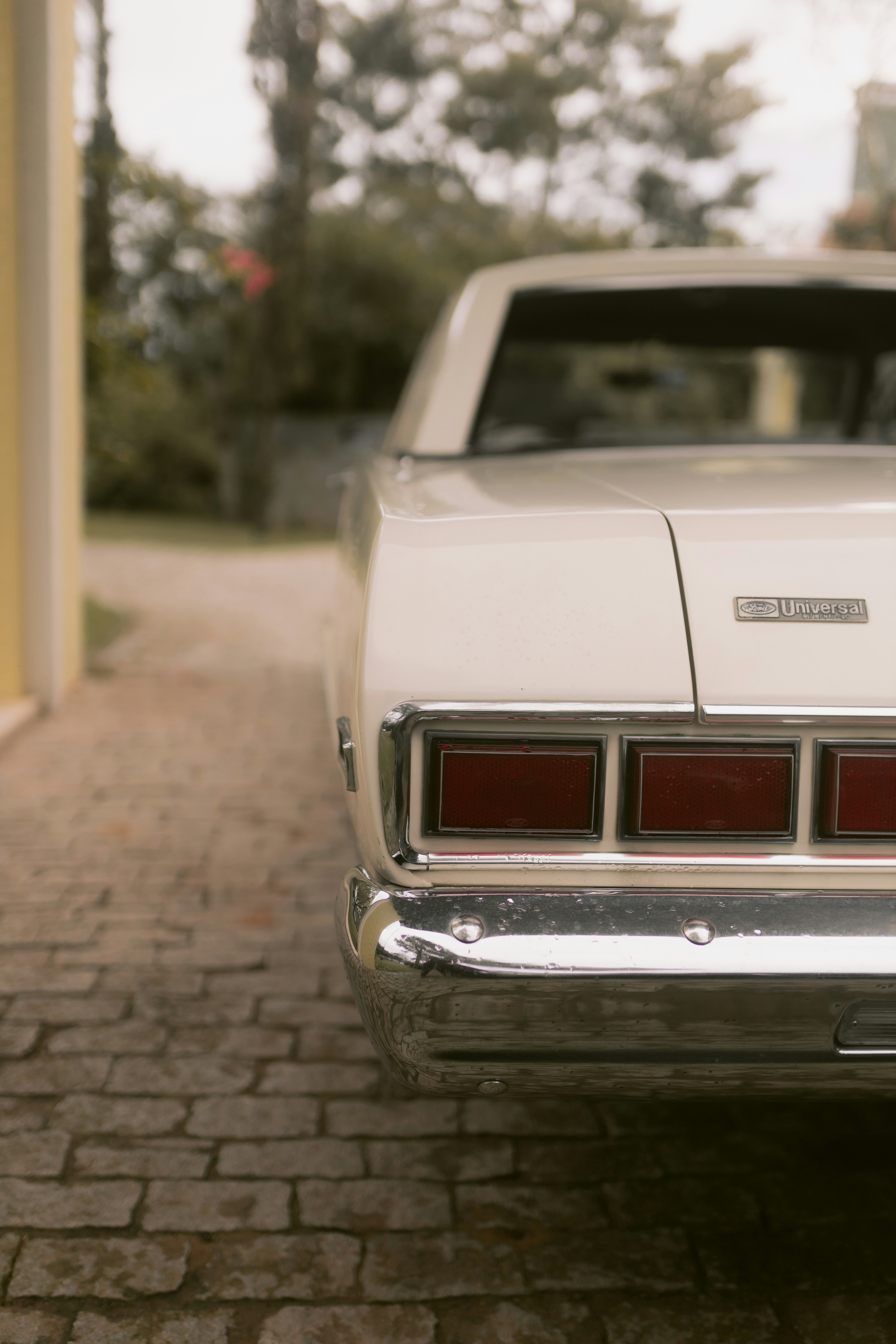 Photo by alexandermassph