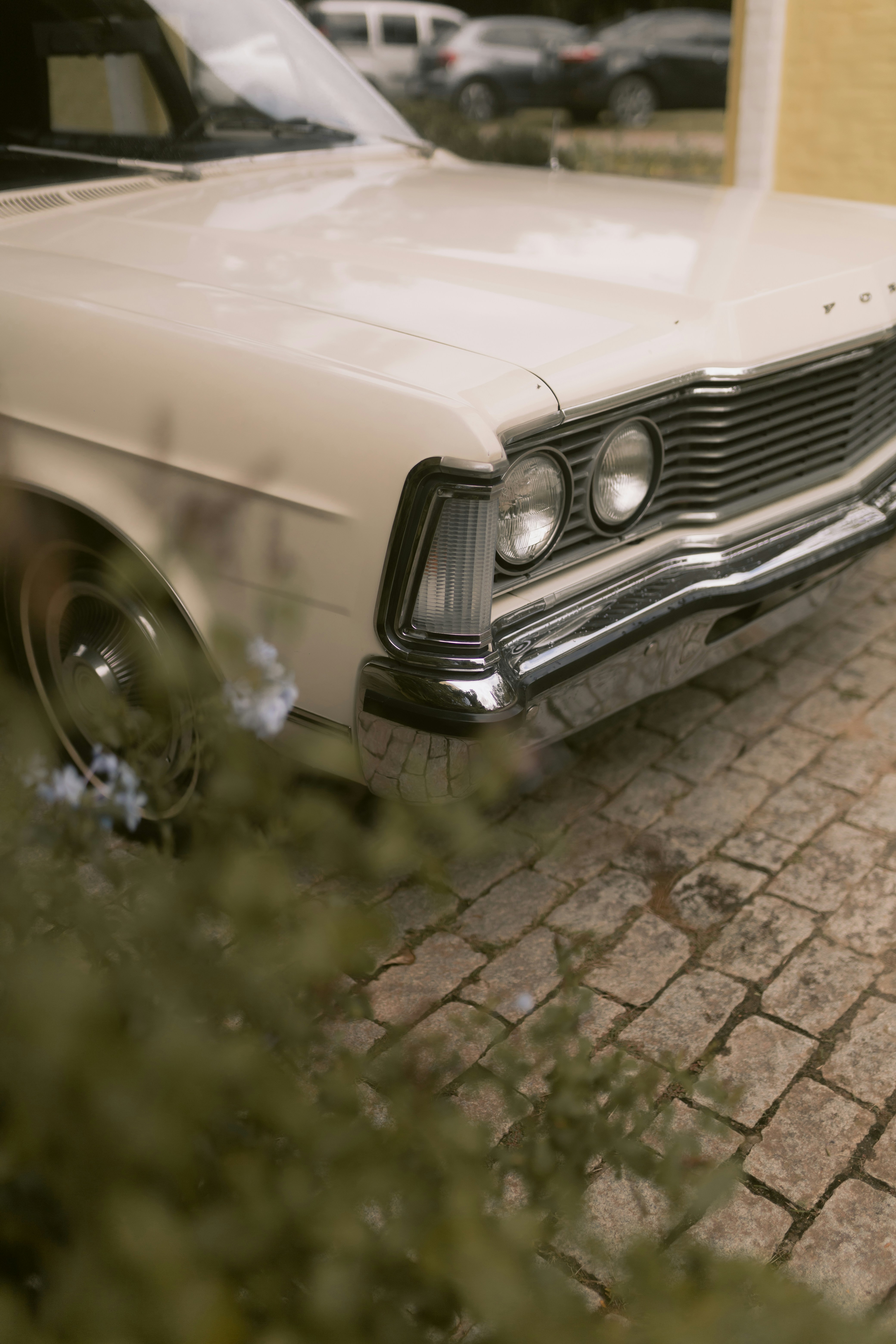 Photo by alexandermassph