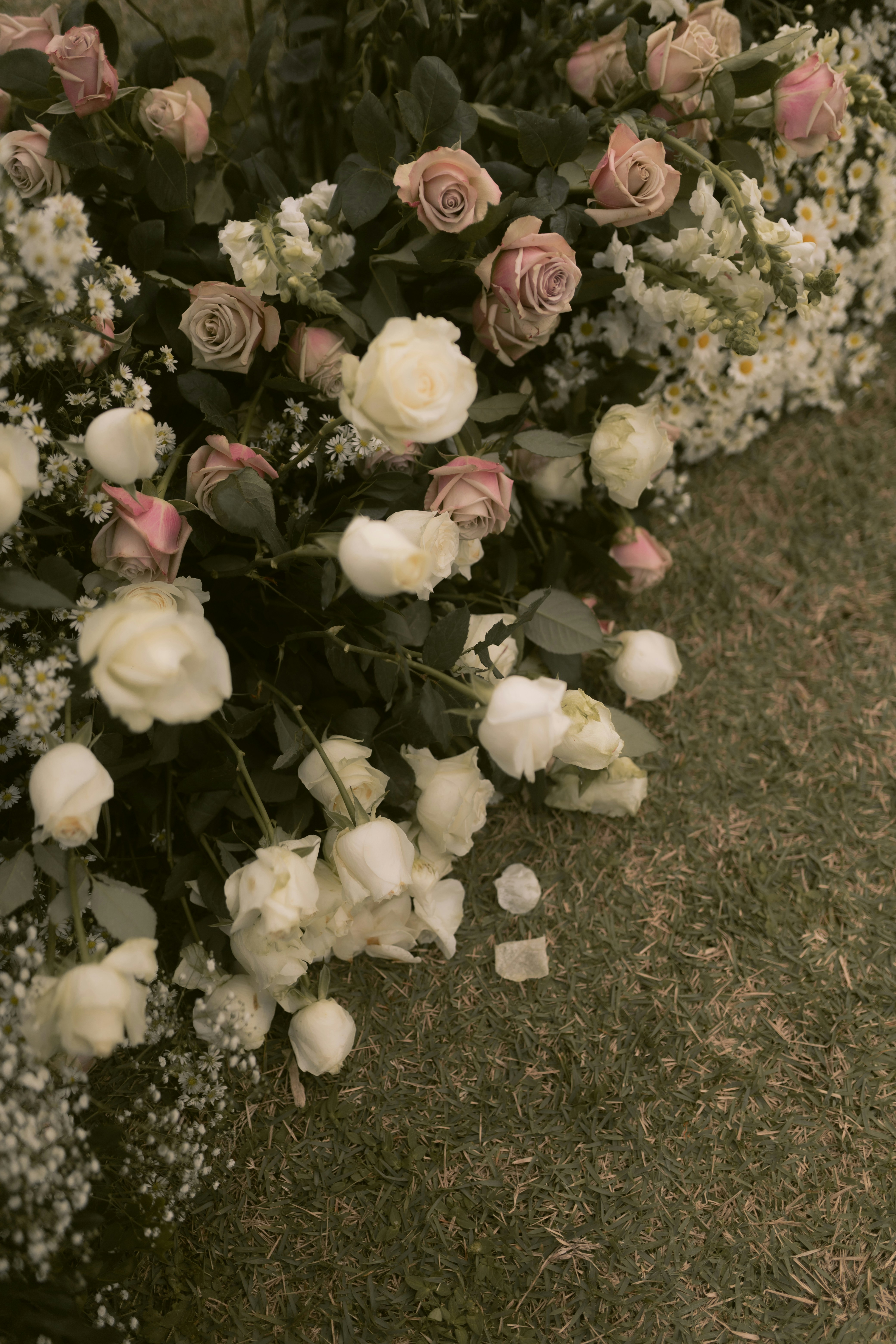 Photo by alexandermassph