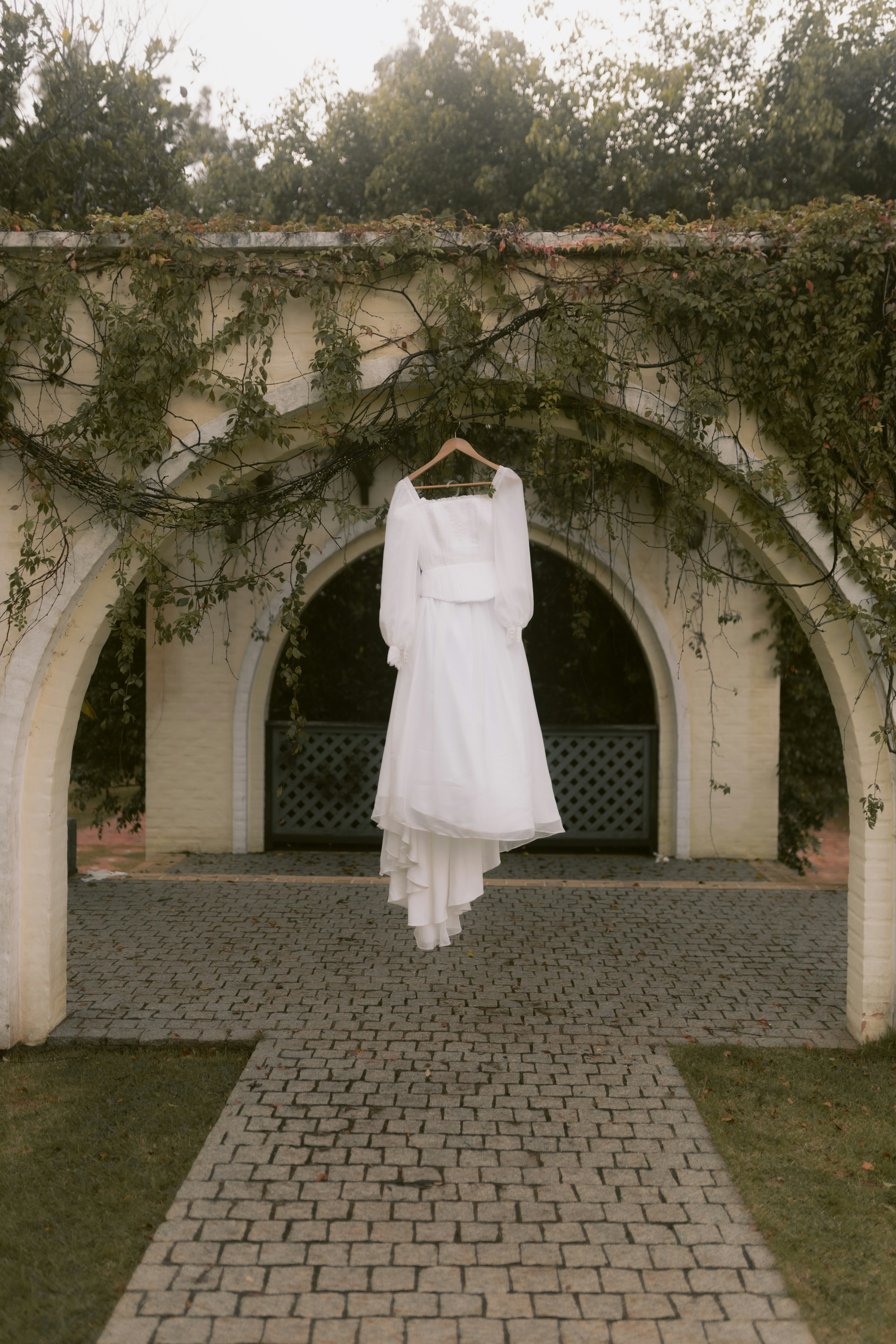 Photo by alexandermassph