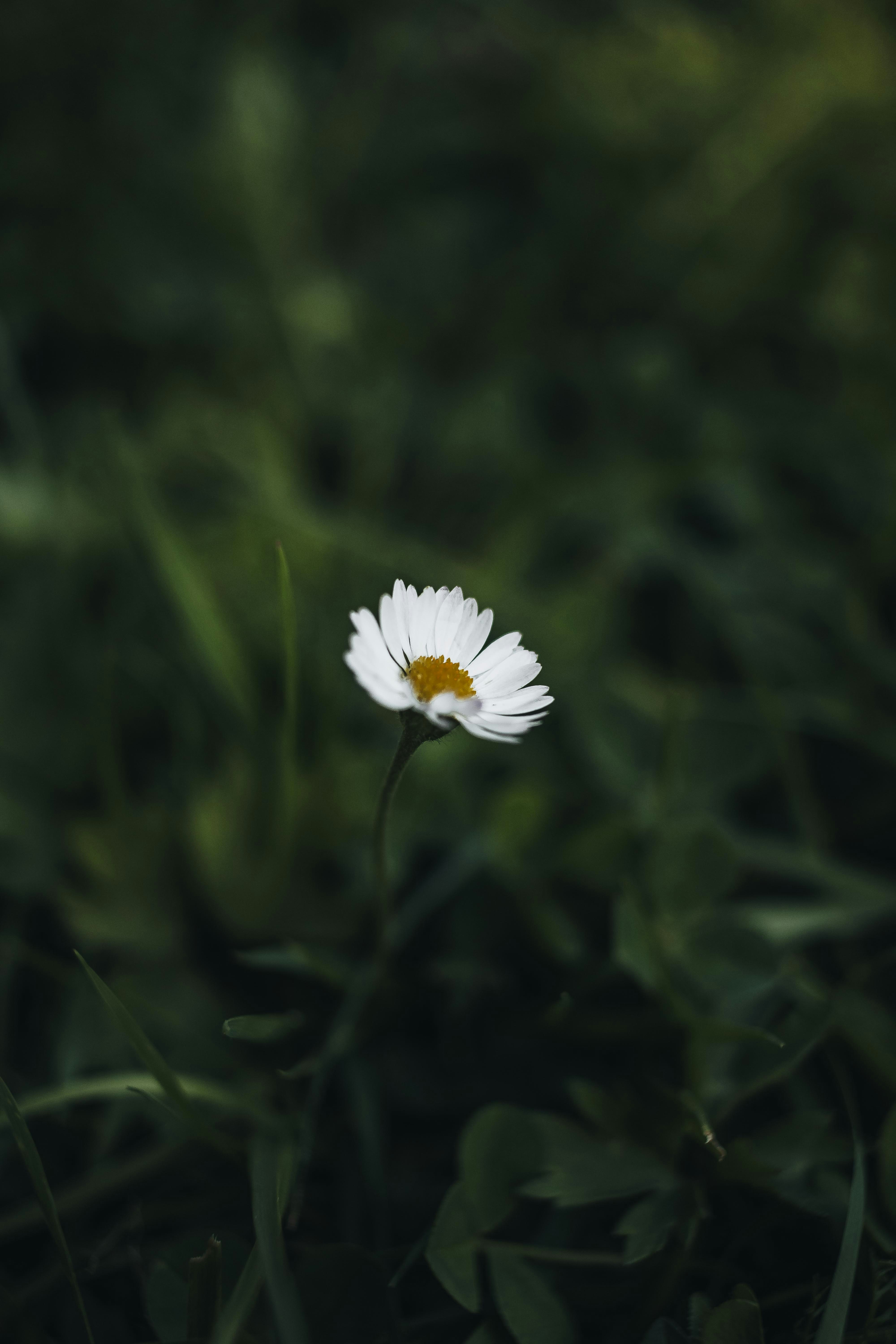 Photo by arlindphotography