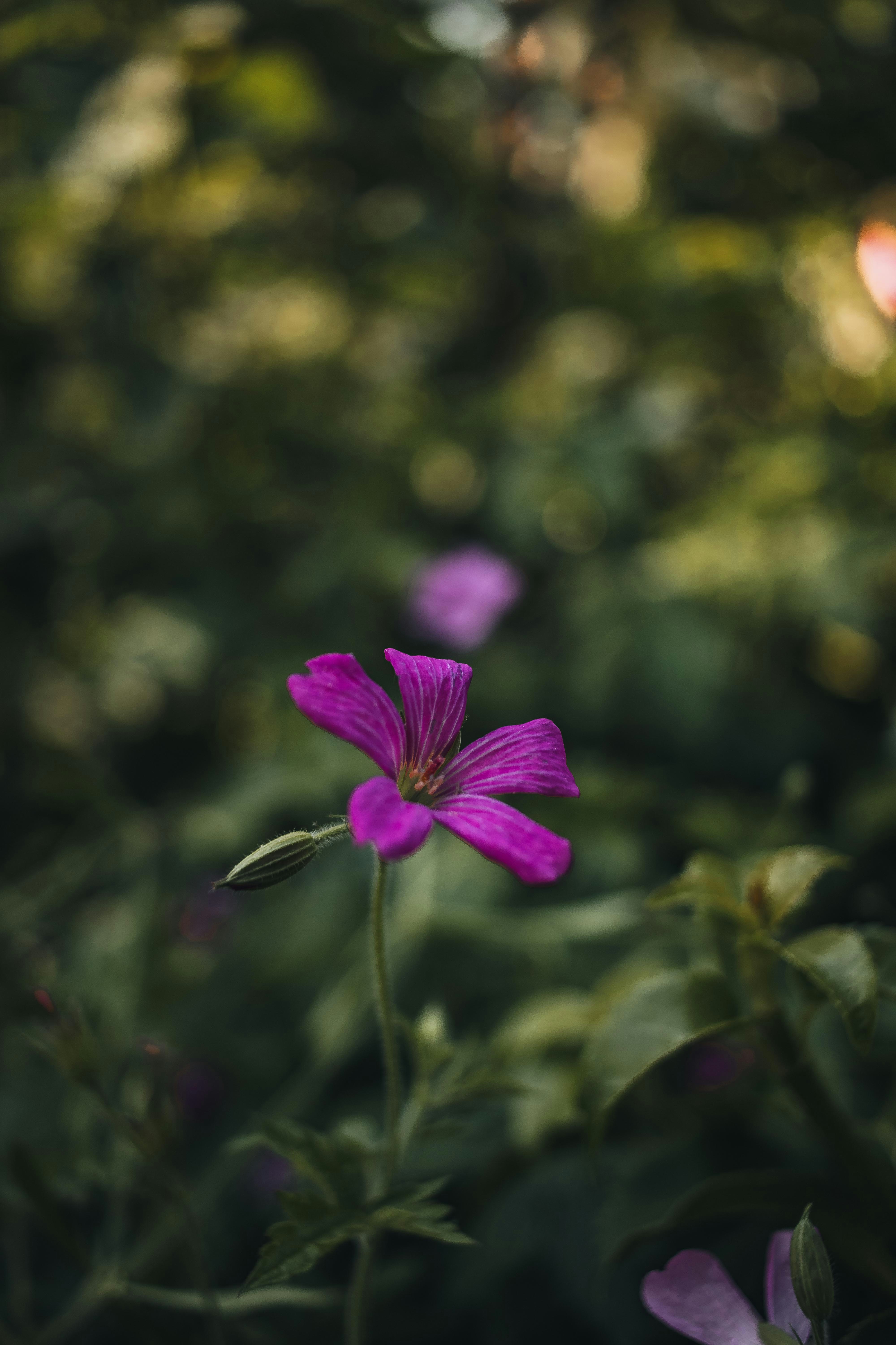 Photo by arlindphotography