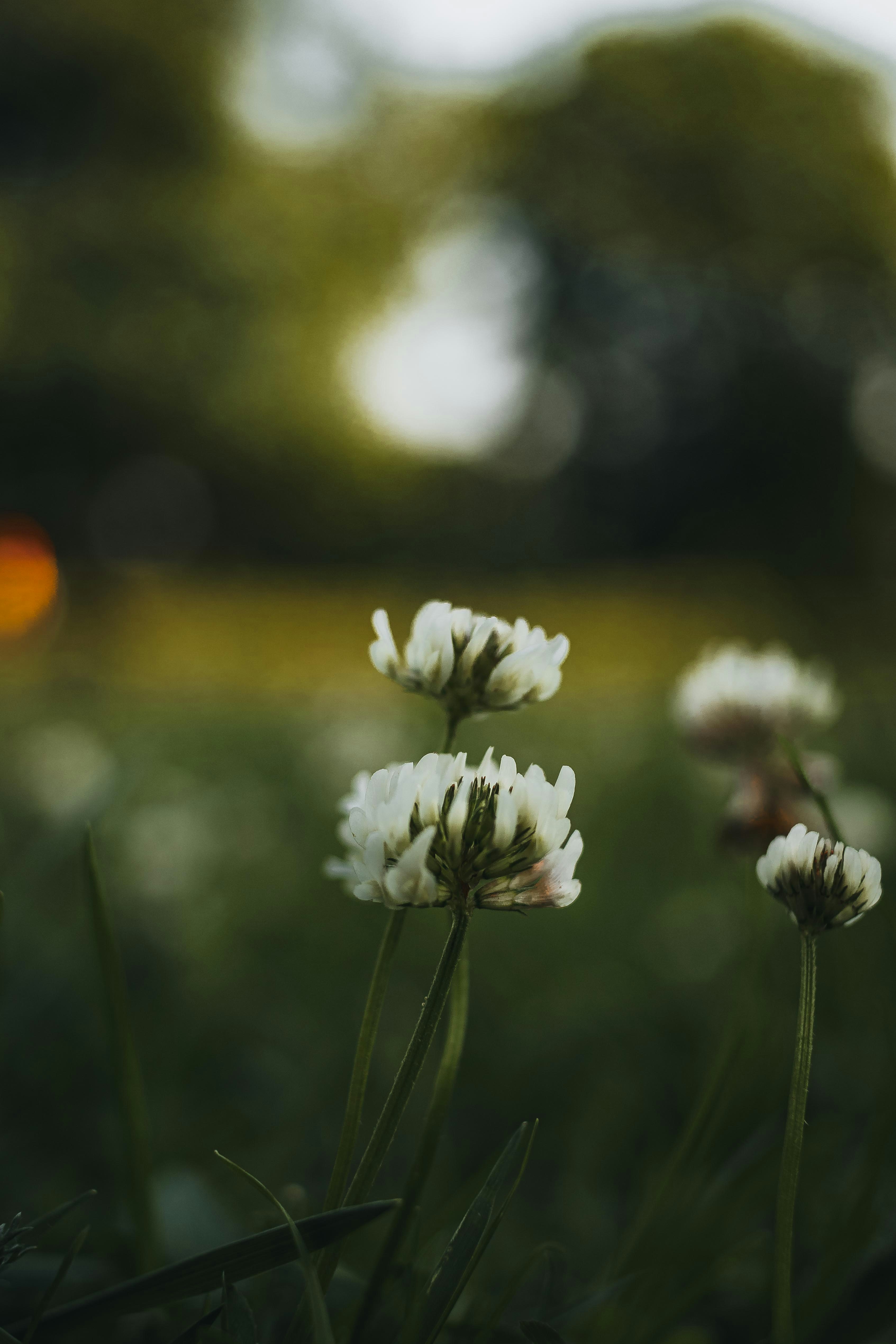 Photo by arlindphotography