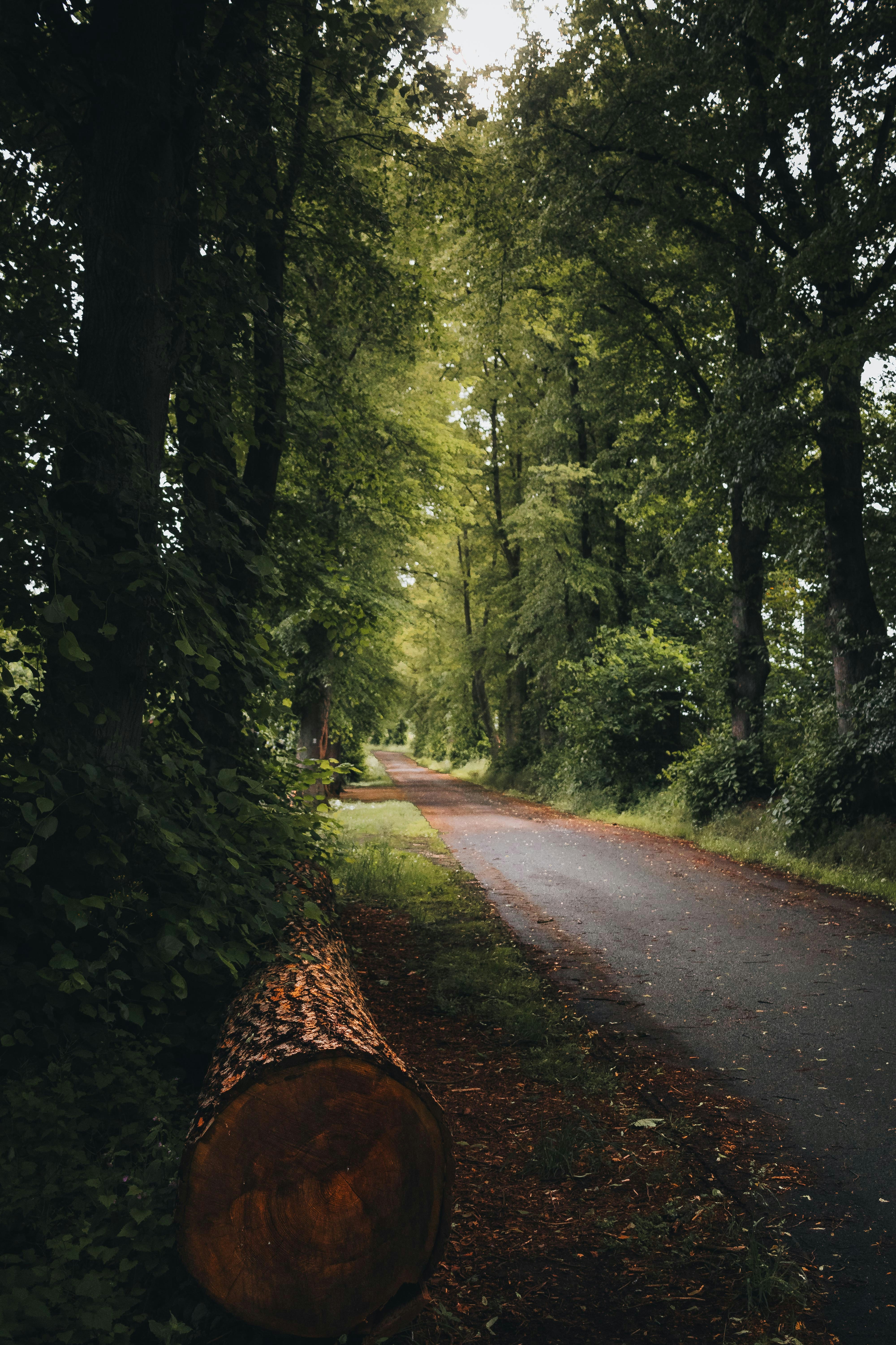 Photo by arlindphotography