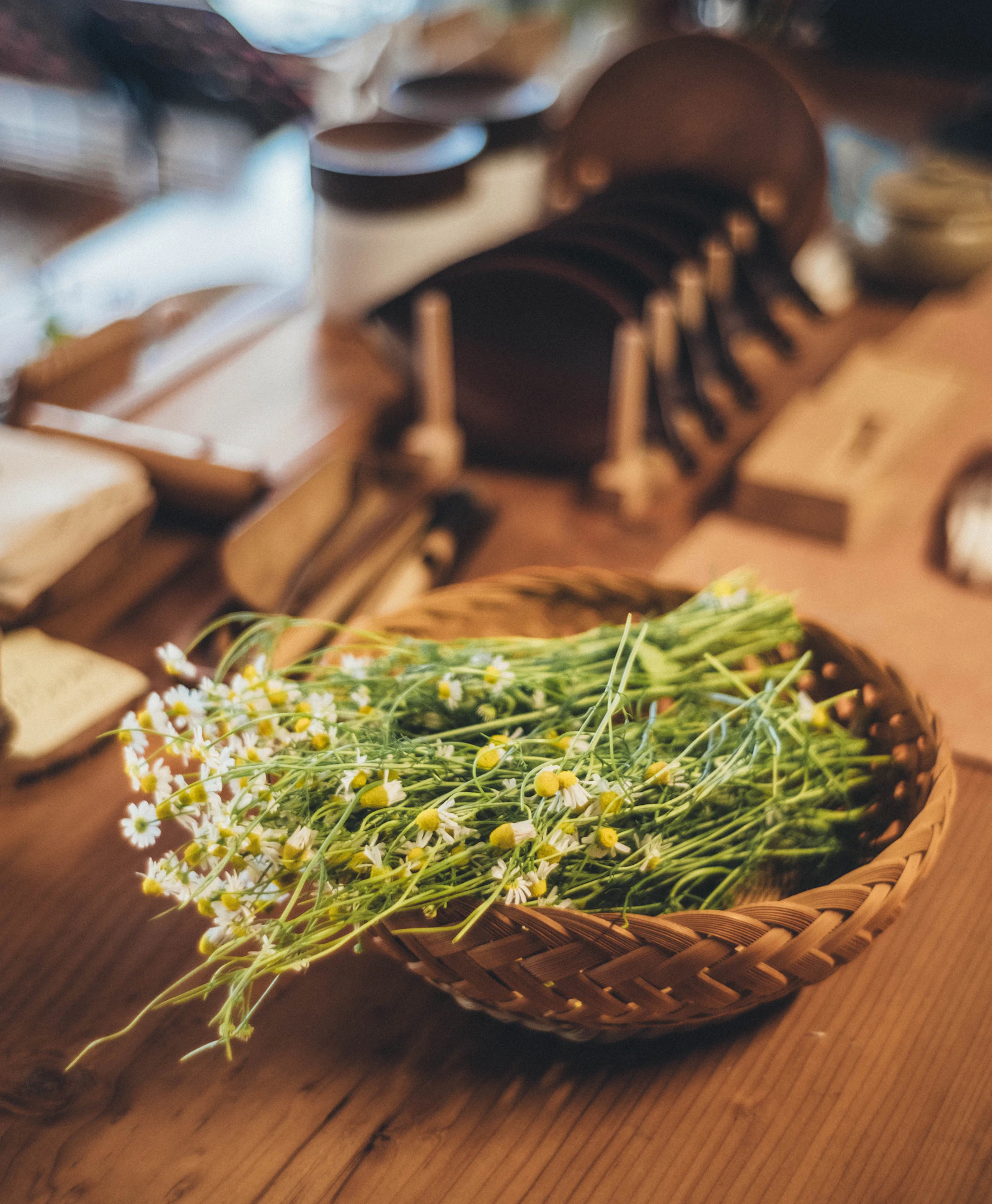Plantes et infusion sur une table en bois