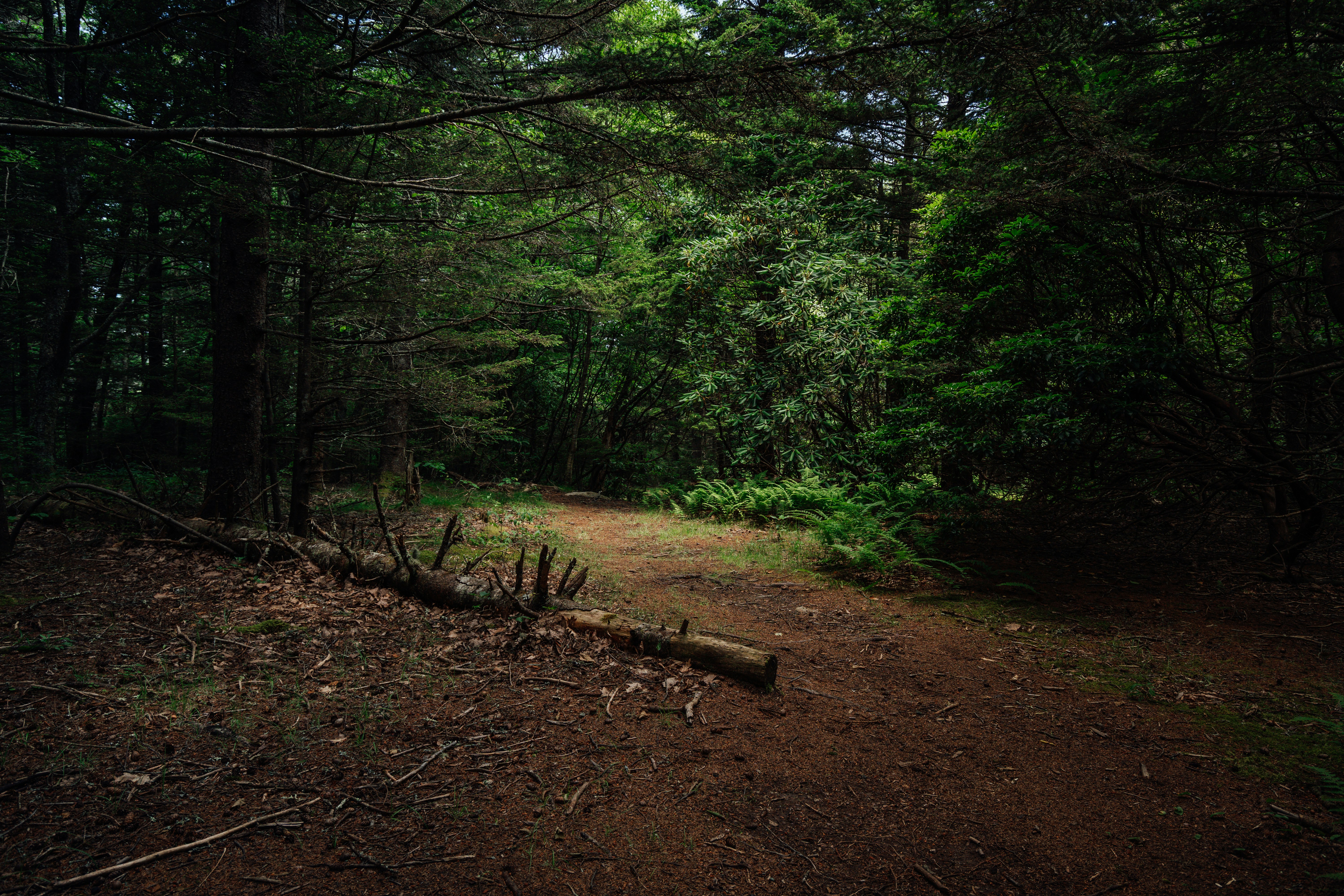 Photo by kello_vision