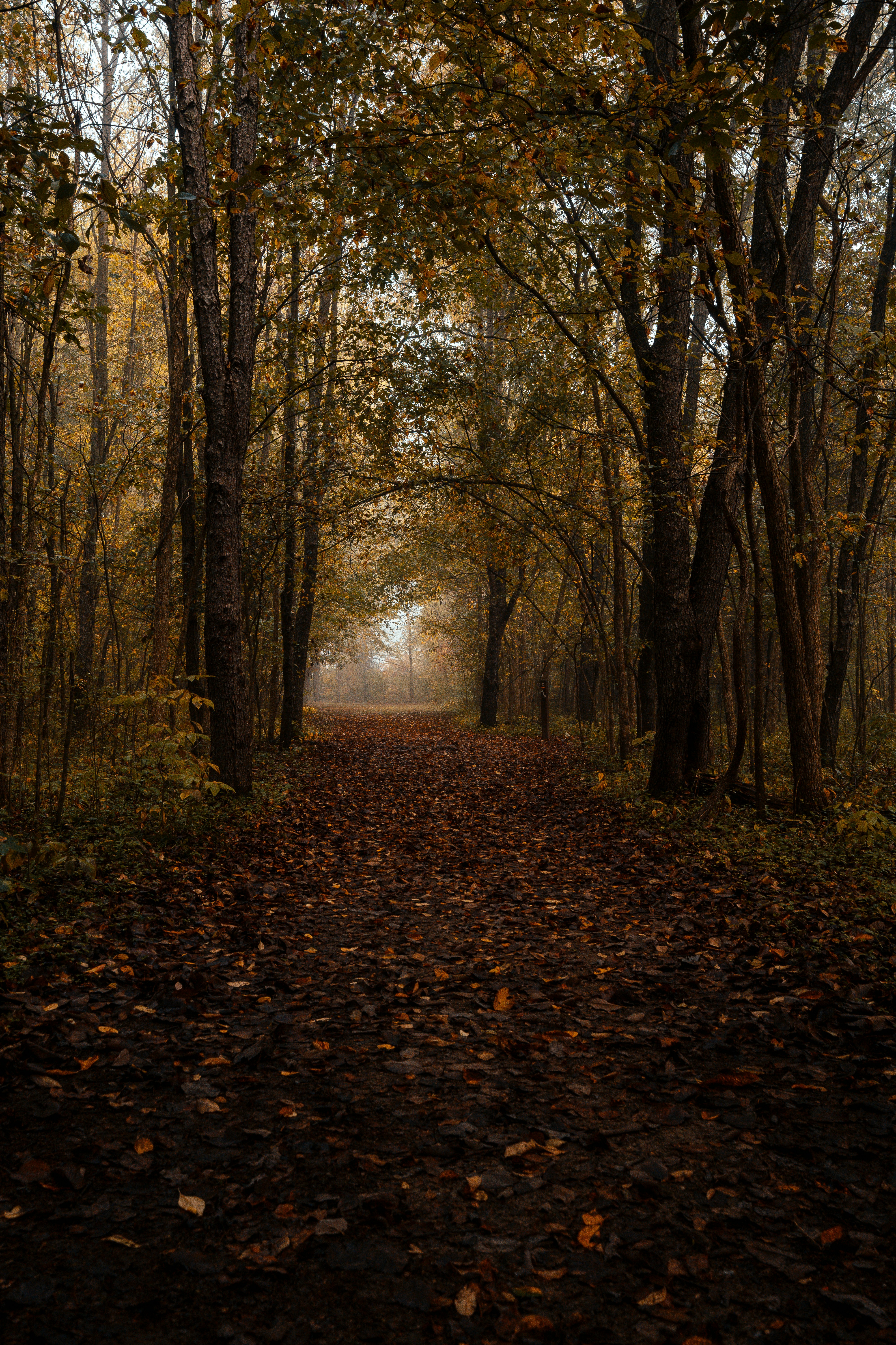 Photo by kello_vision