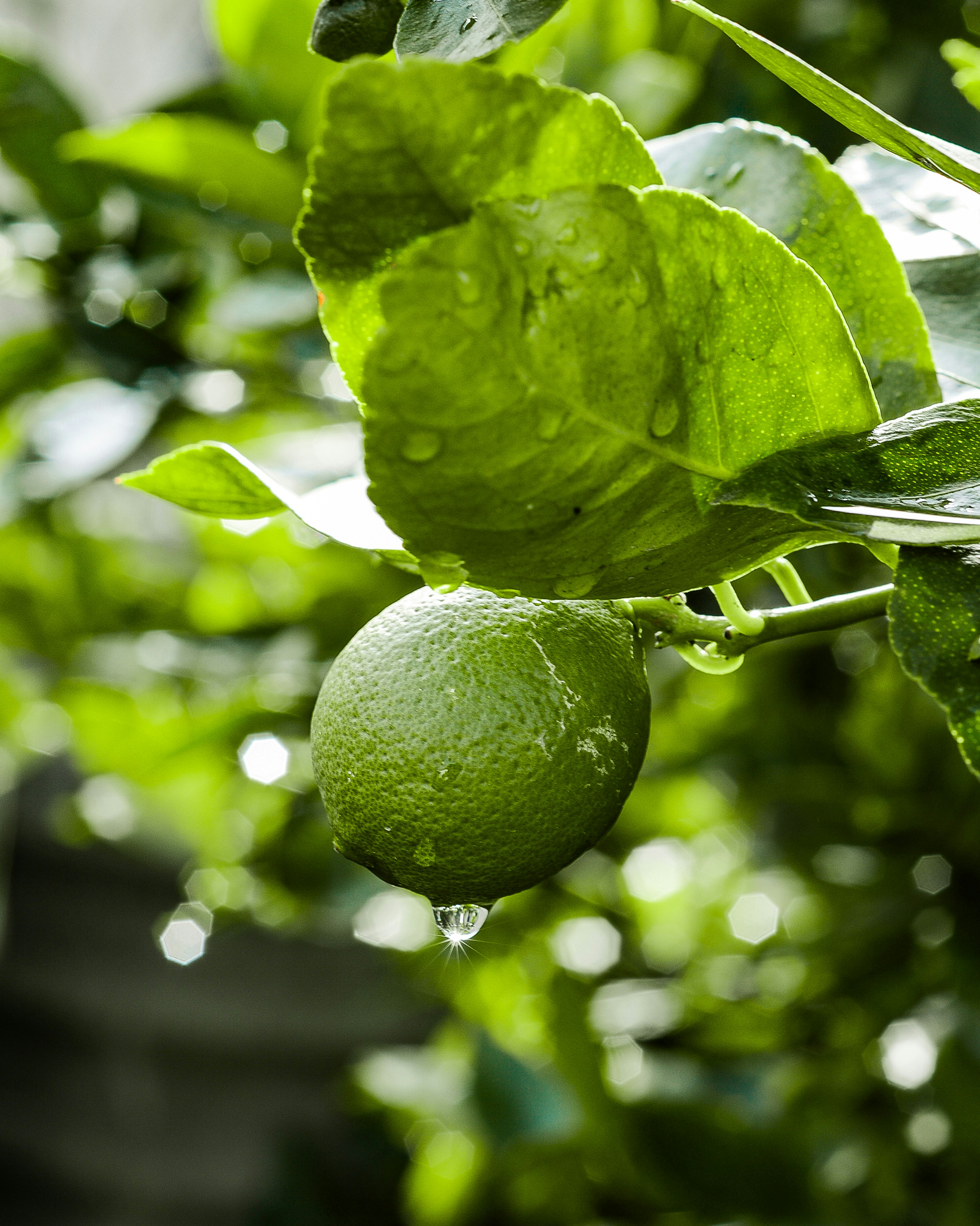 Photo by vanya_serrano11