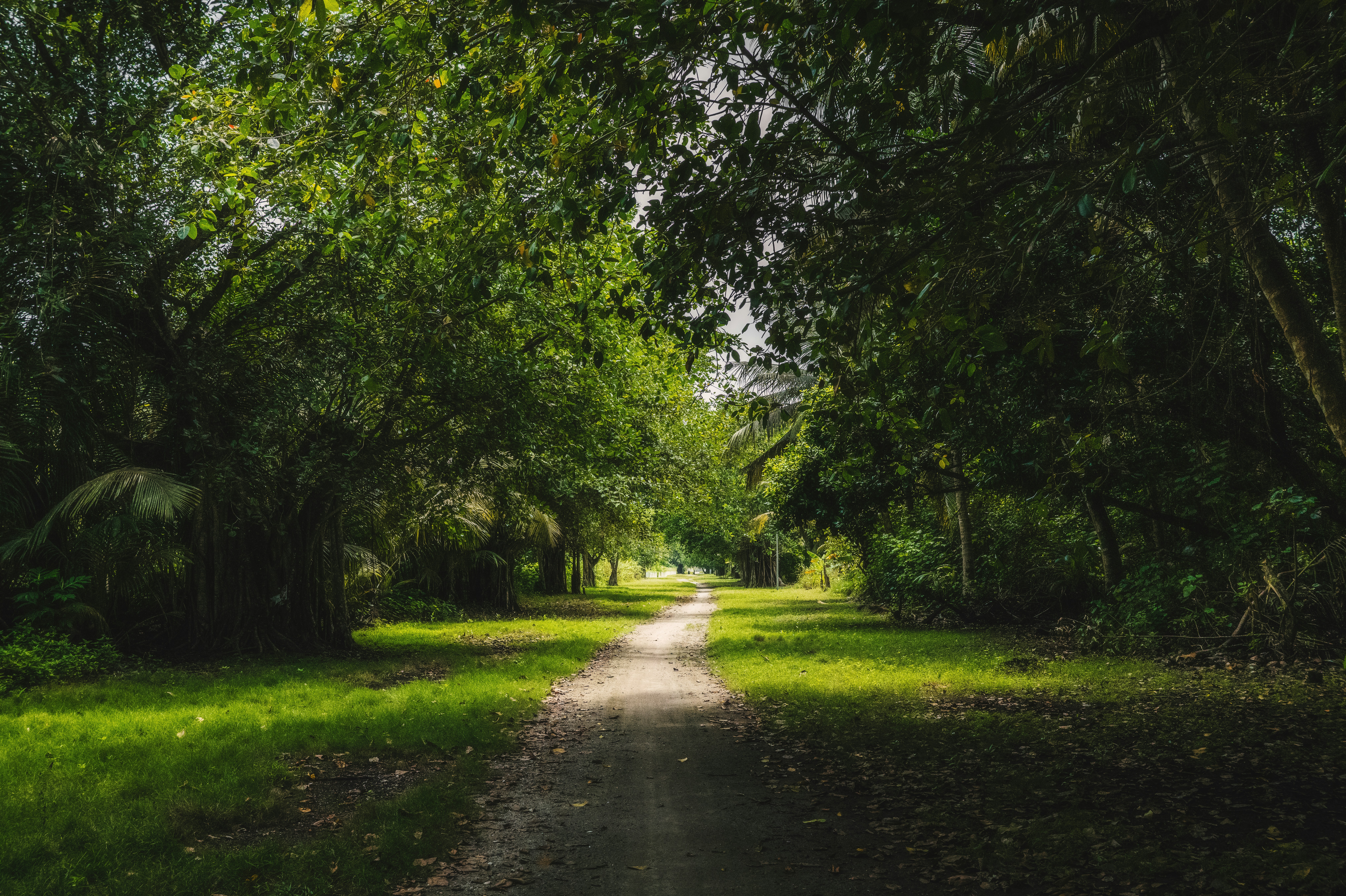 Photo by ahmed_rizkhaan