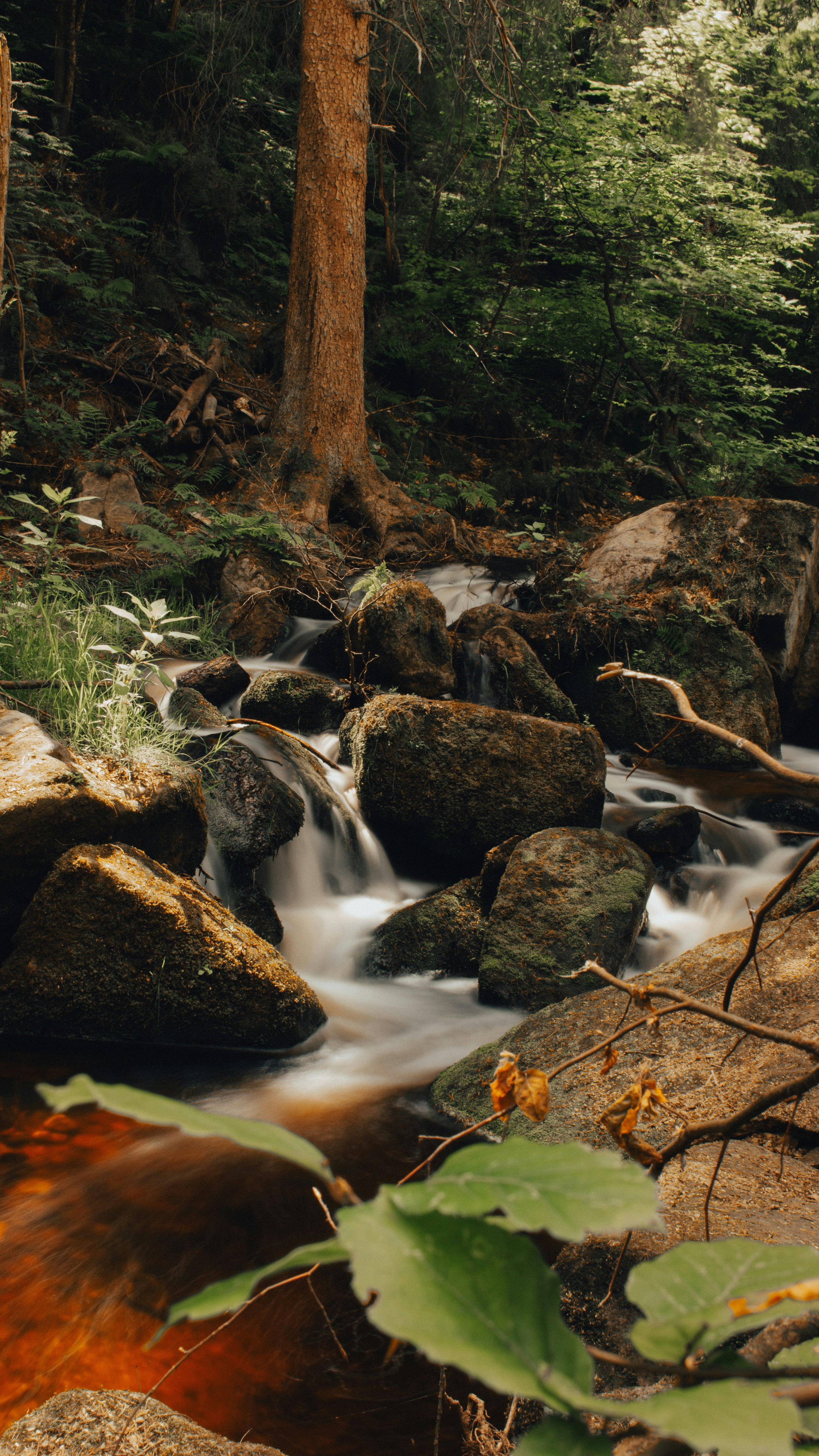 Photo by asimalghamdi