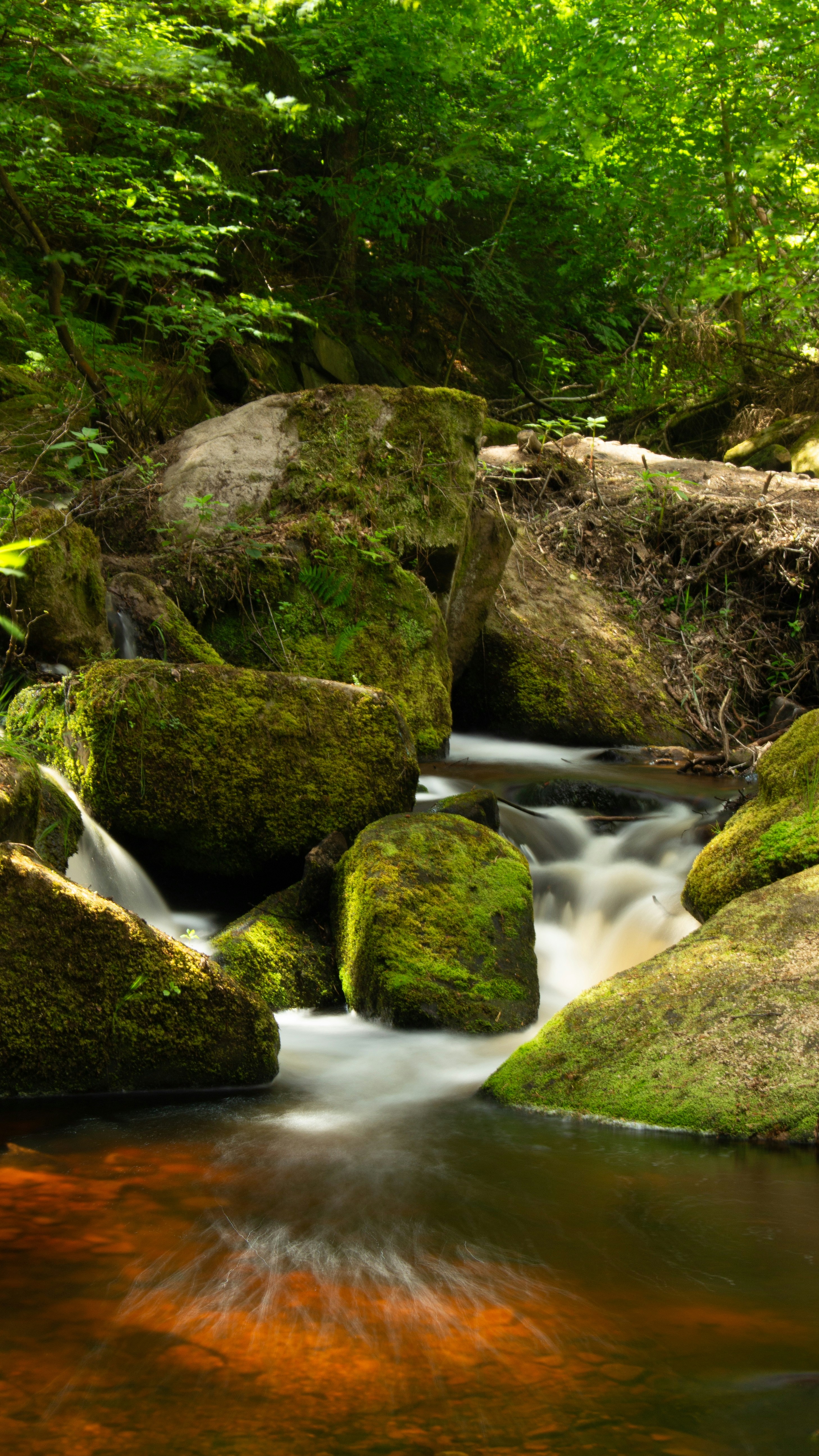 Photo by asimalghamdi