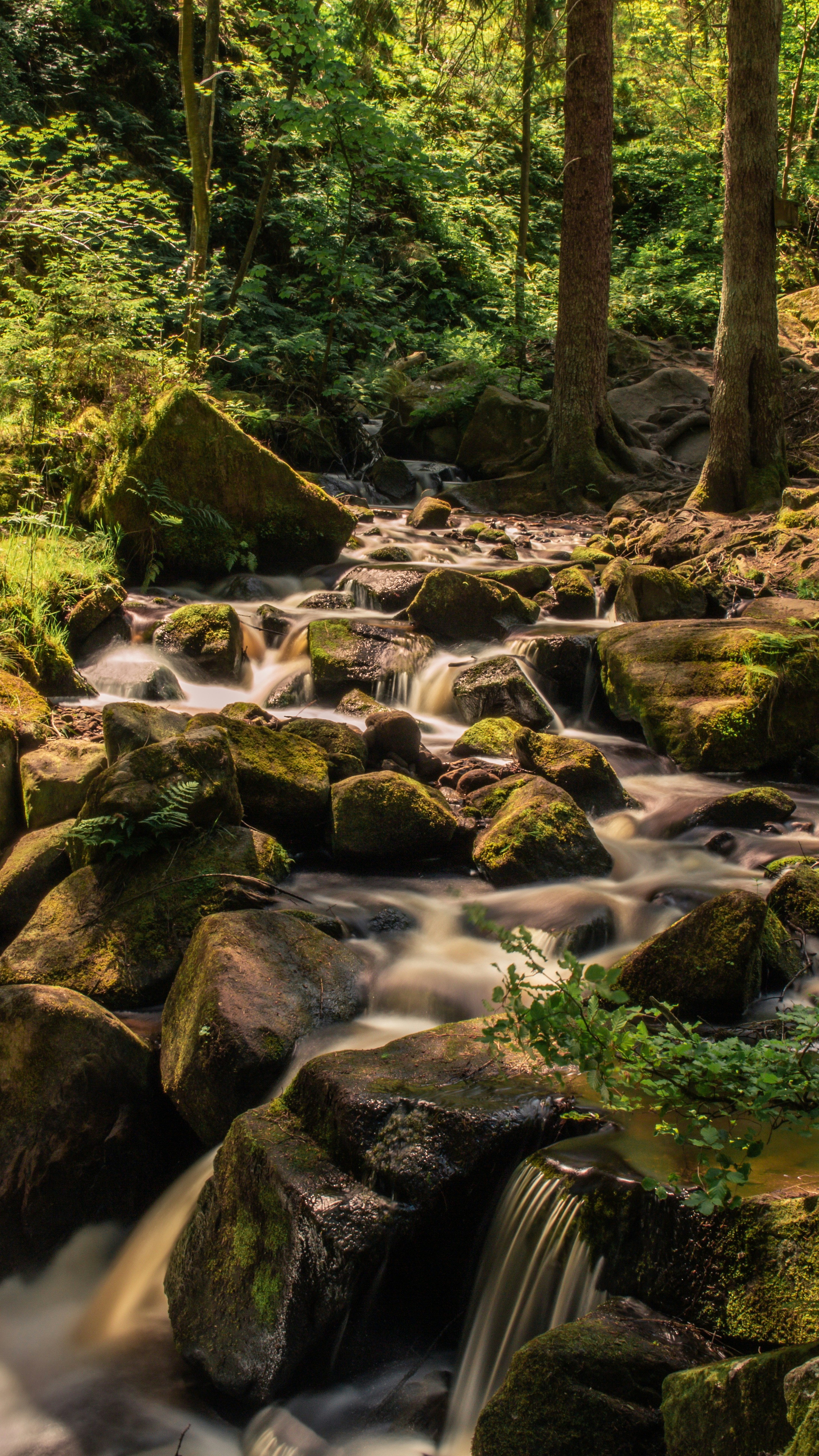 Photo by asimalghamdi