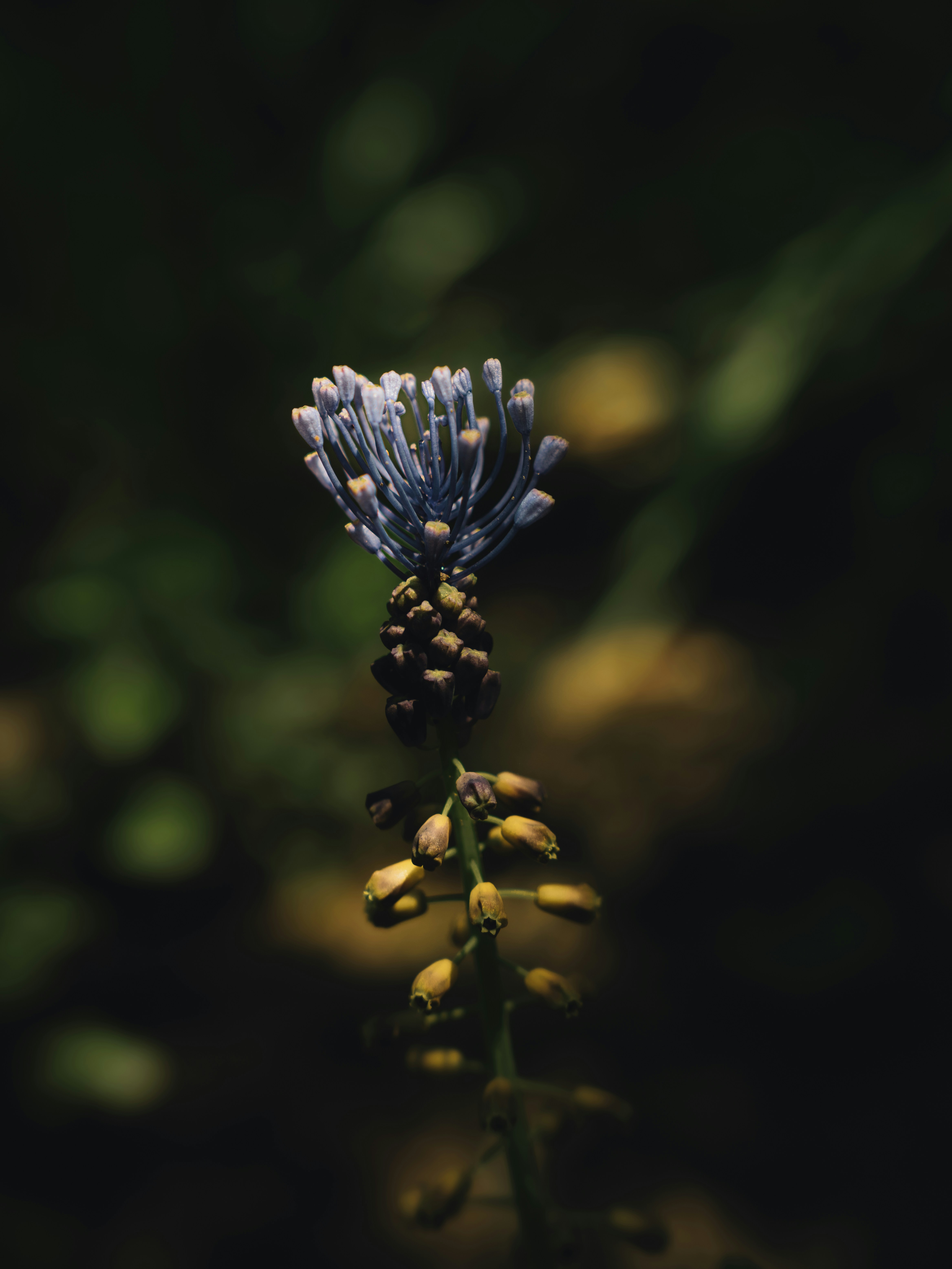 Photo by alexisnthere_