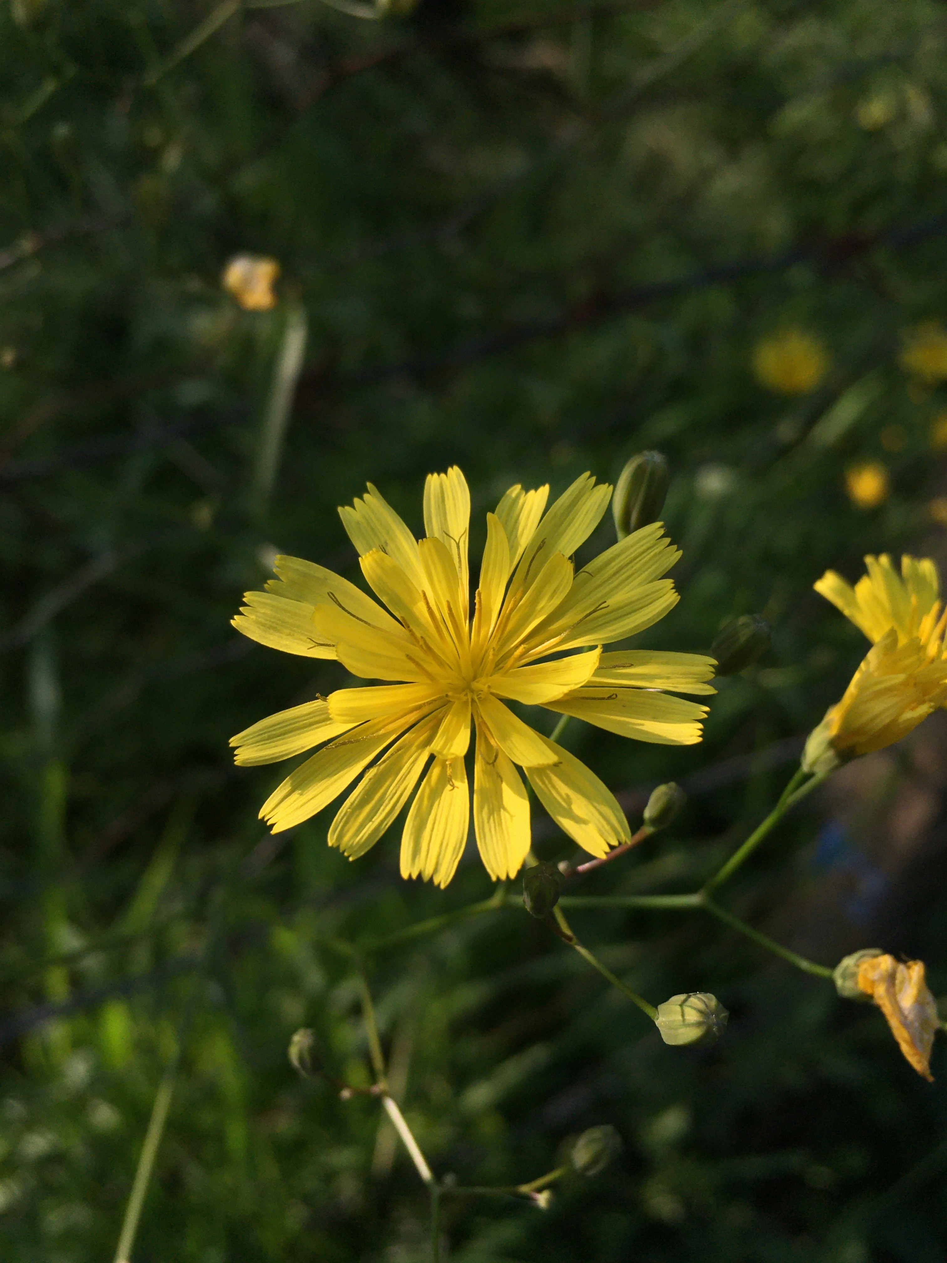 Photo by yunusemresezgi52