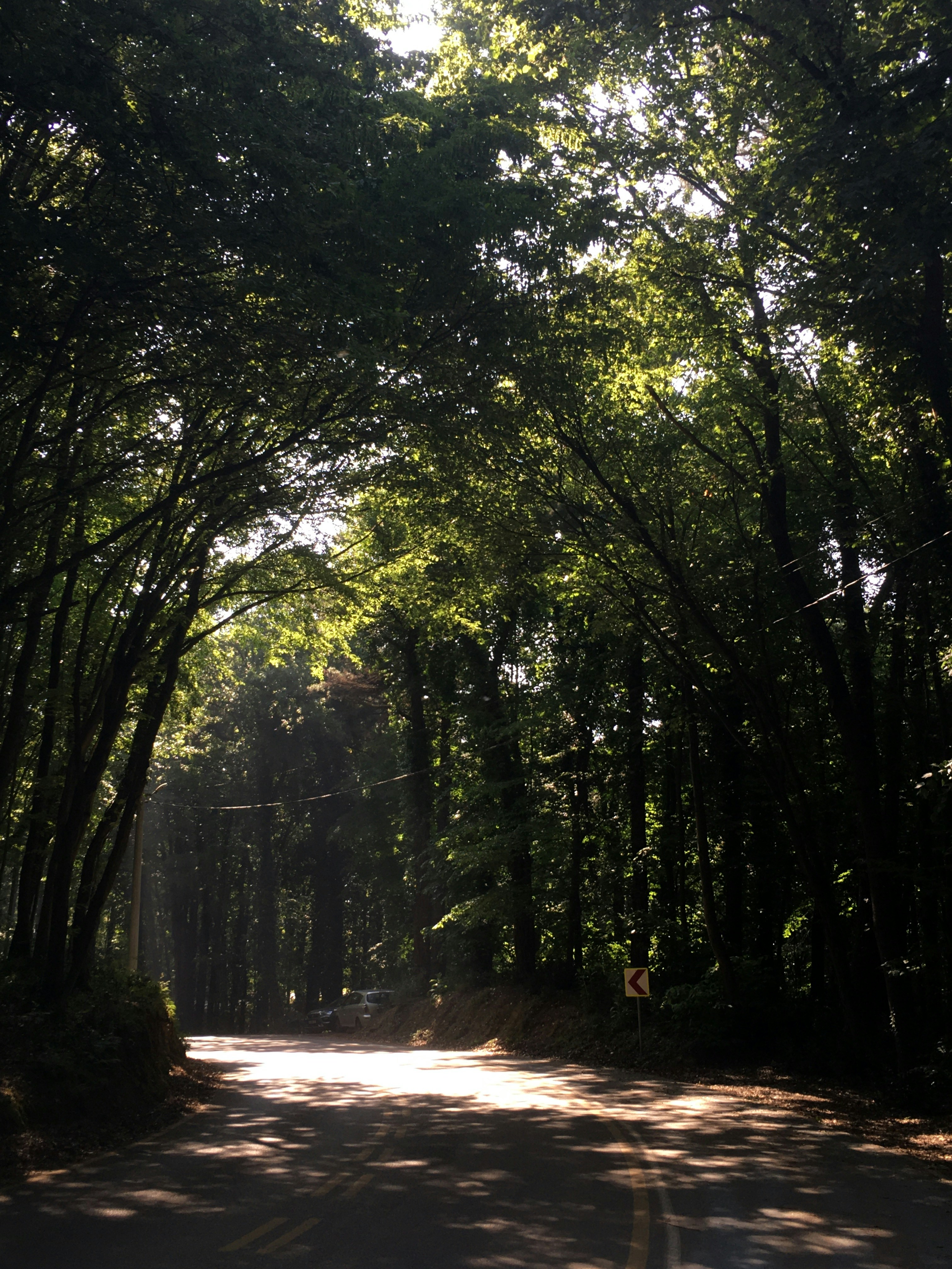 Photo by yunusemresezgi52