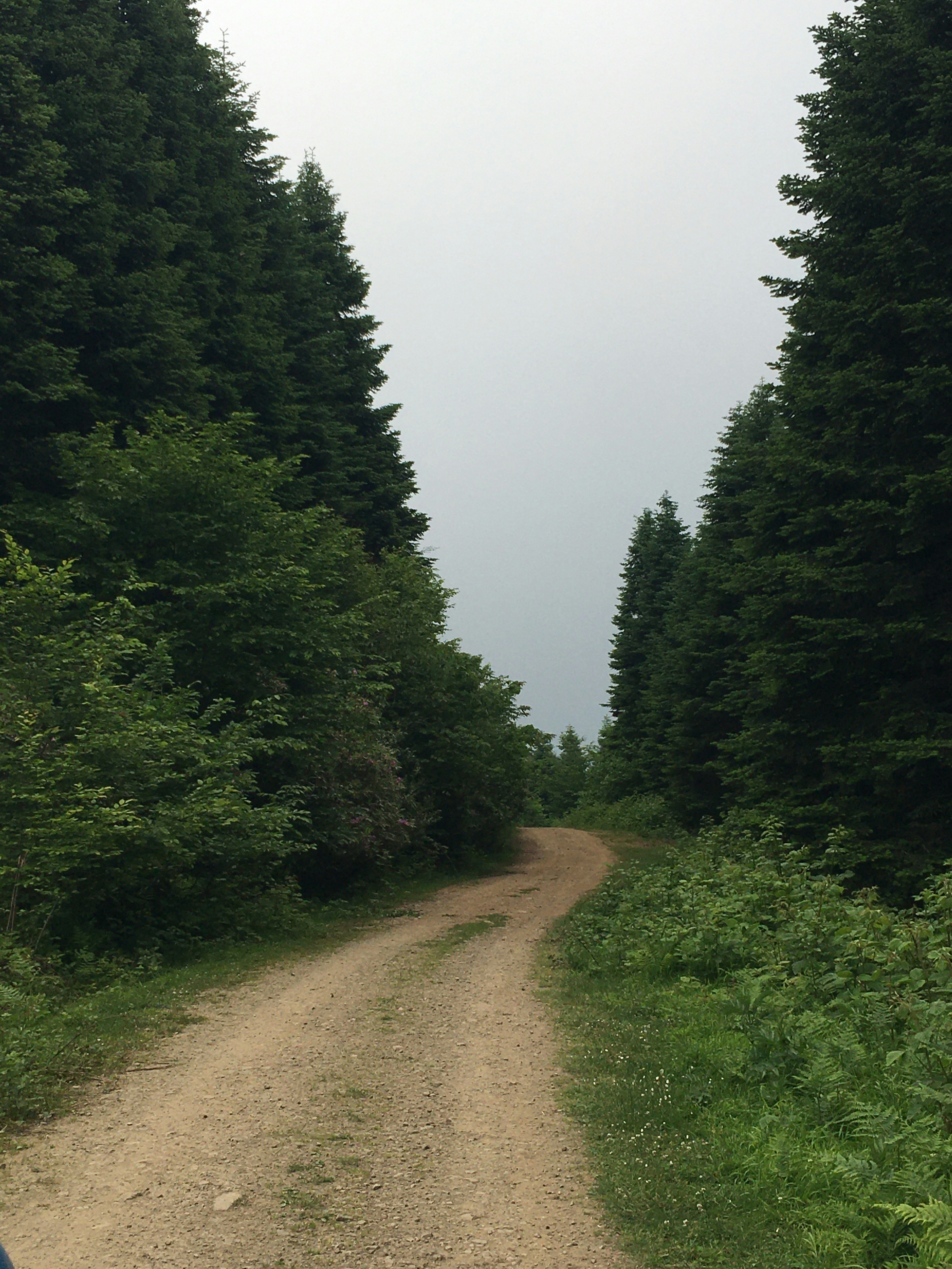 Photo by yunusemresezgi52