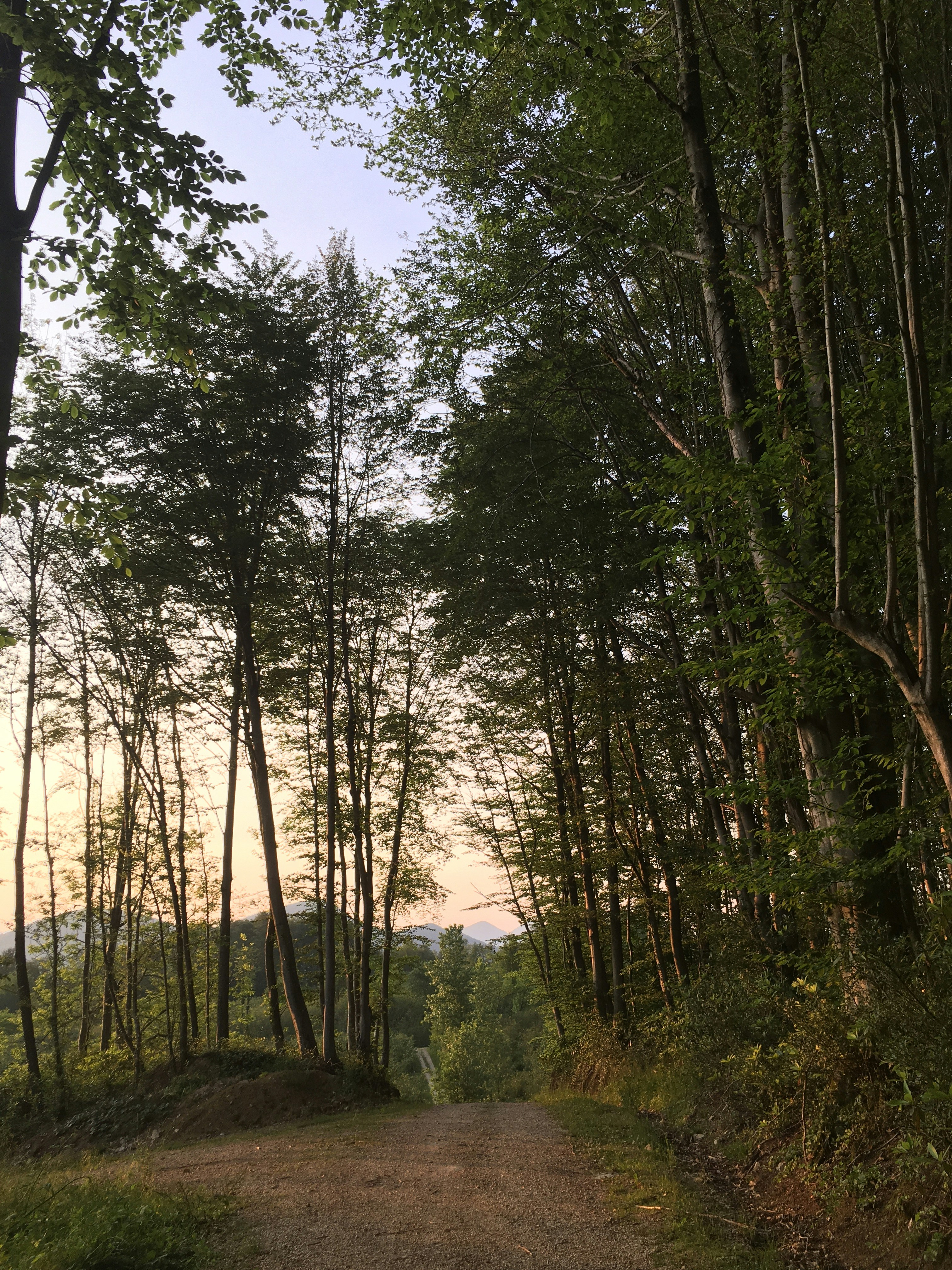 Photo by yunusemresezgi52