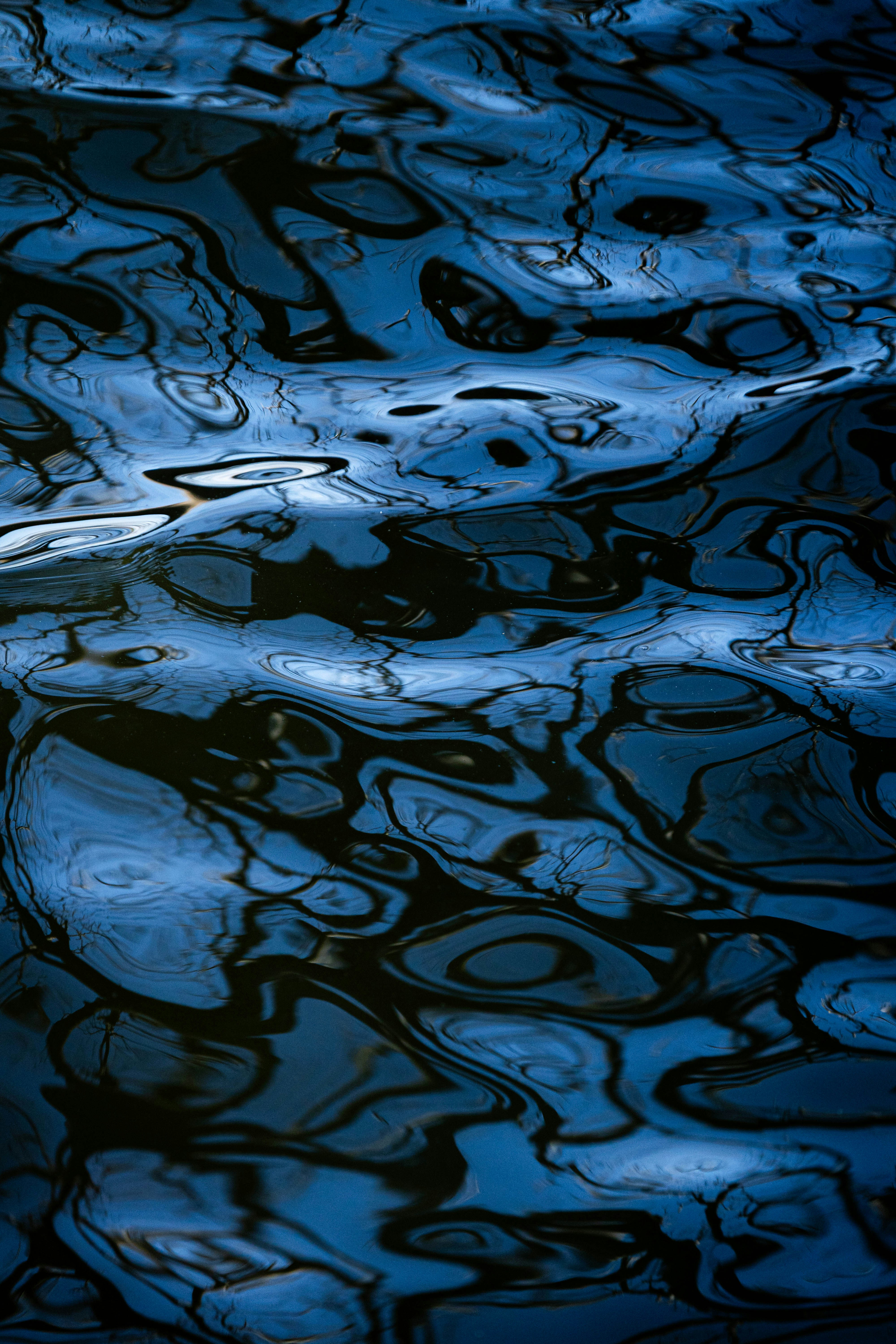 Photo by arpit_dhore