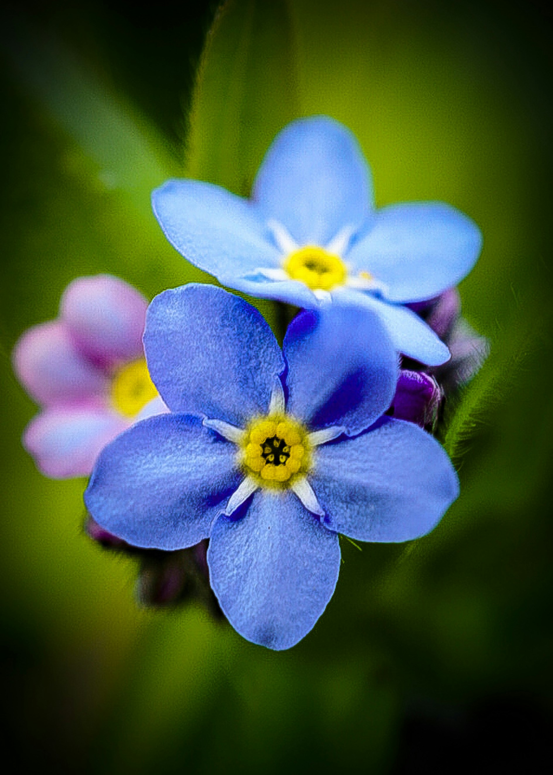 Photo by meri_vasilevski