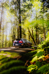 A blue car is driving through a forest.