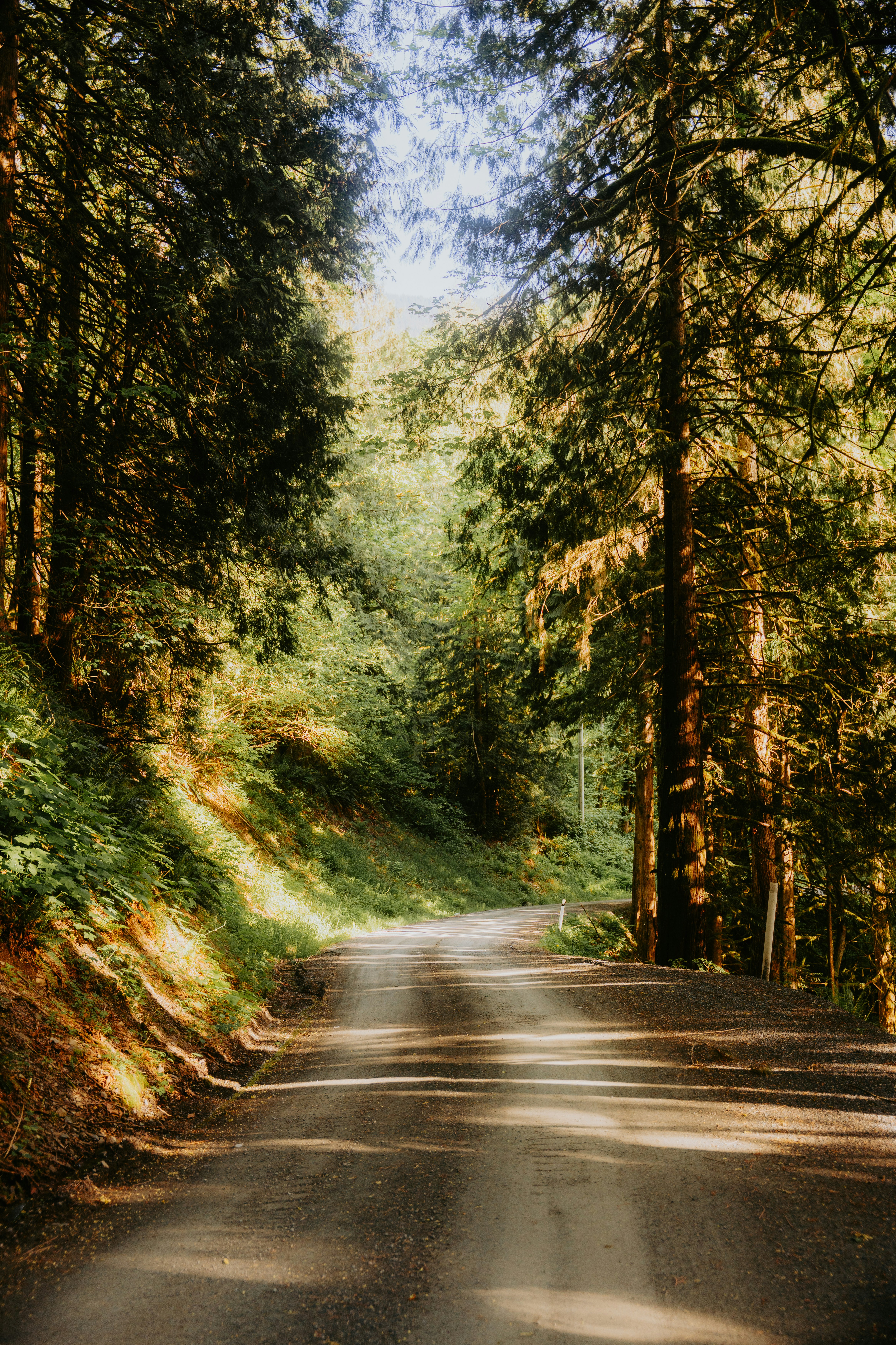 Photo by bylukemiller