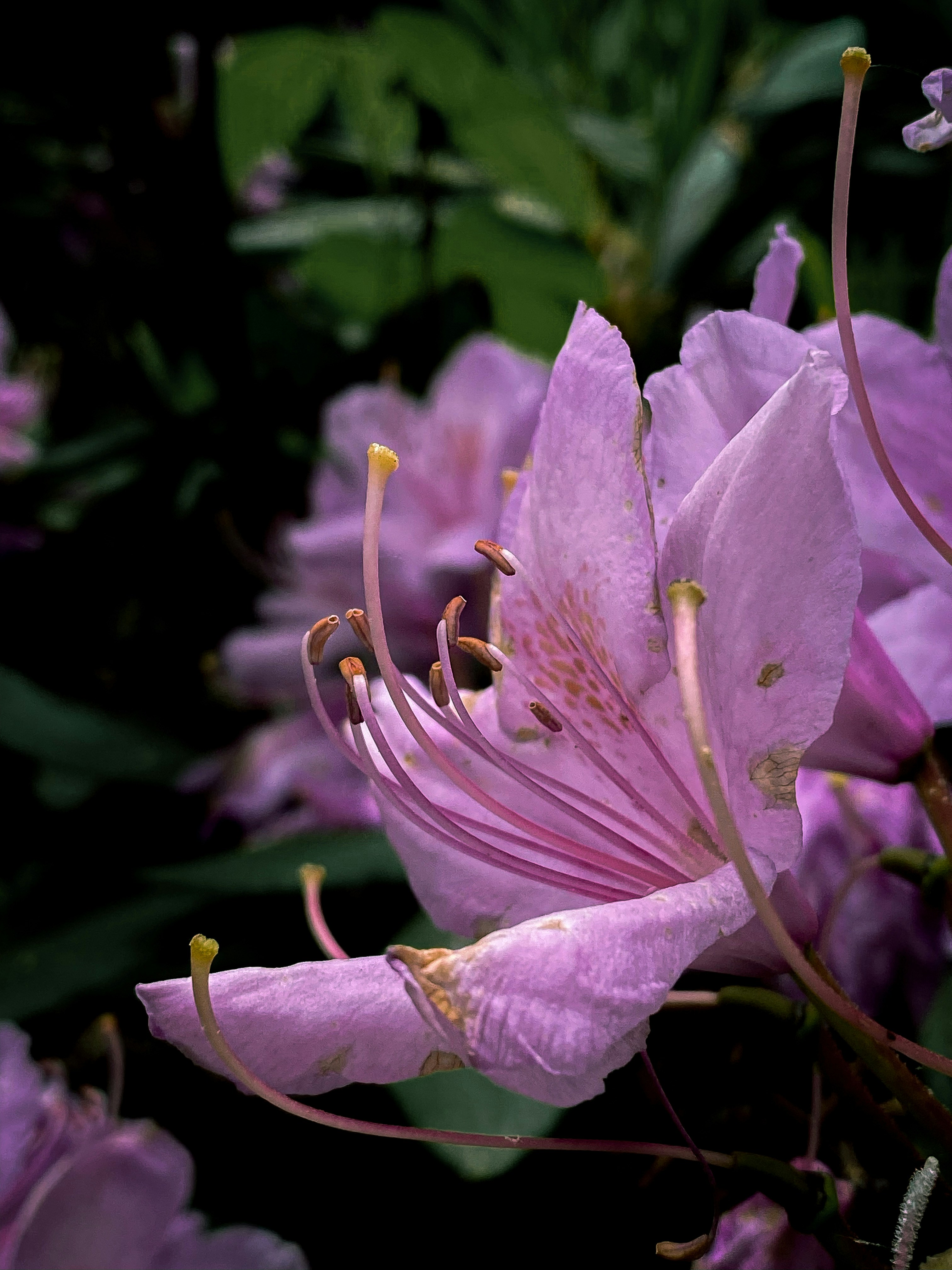 Photo by yunusemresezgi52