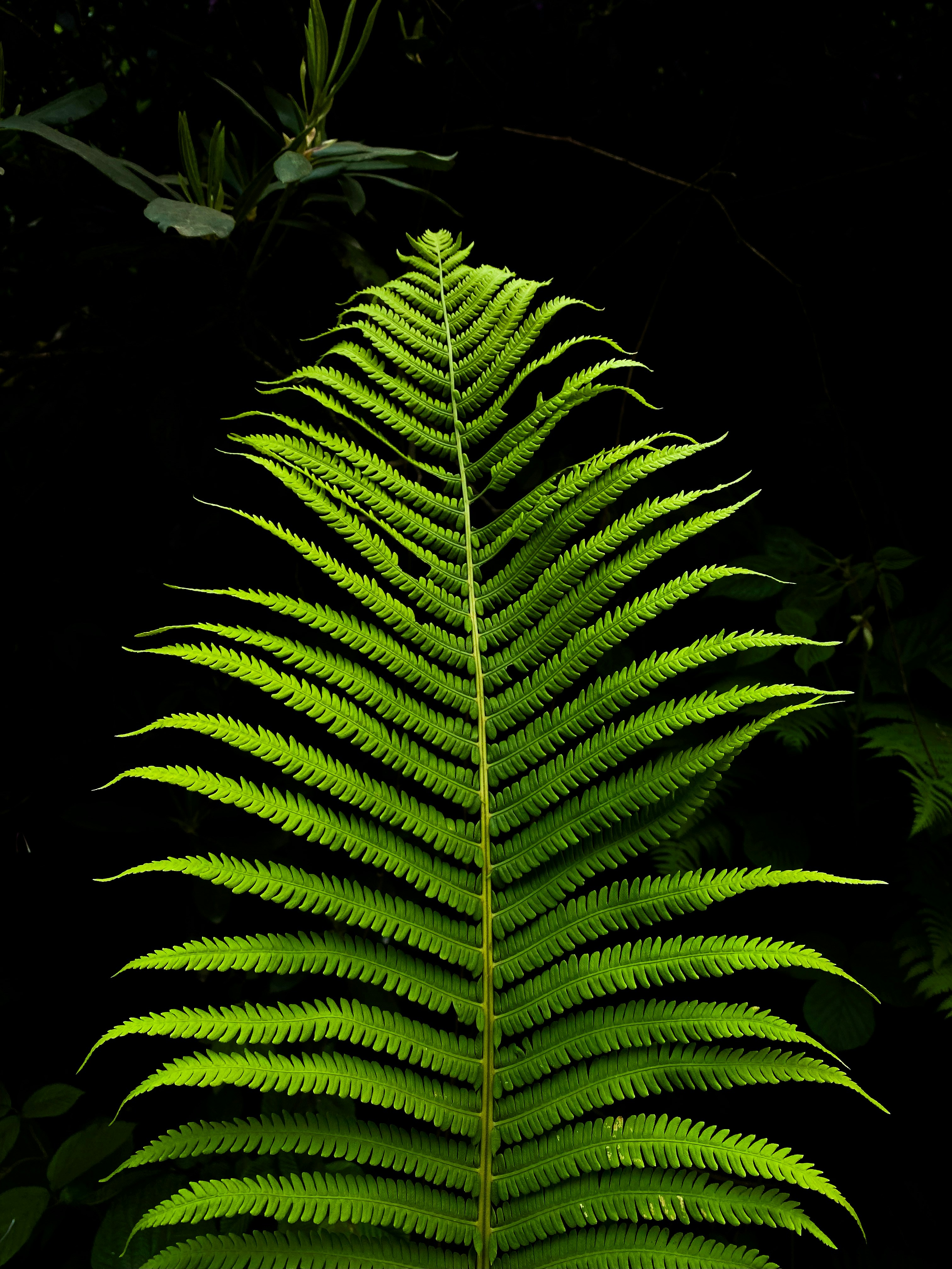 Photo by yunusemresezgi52