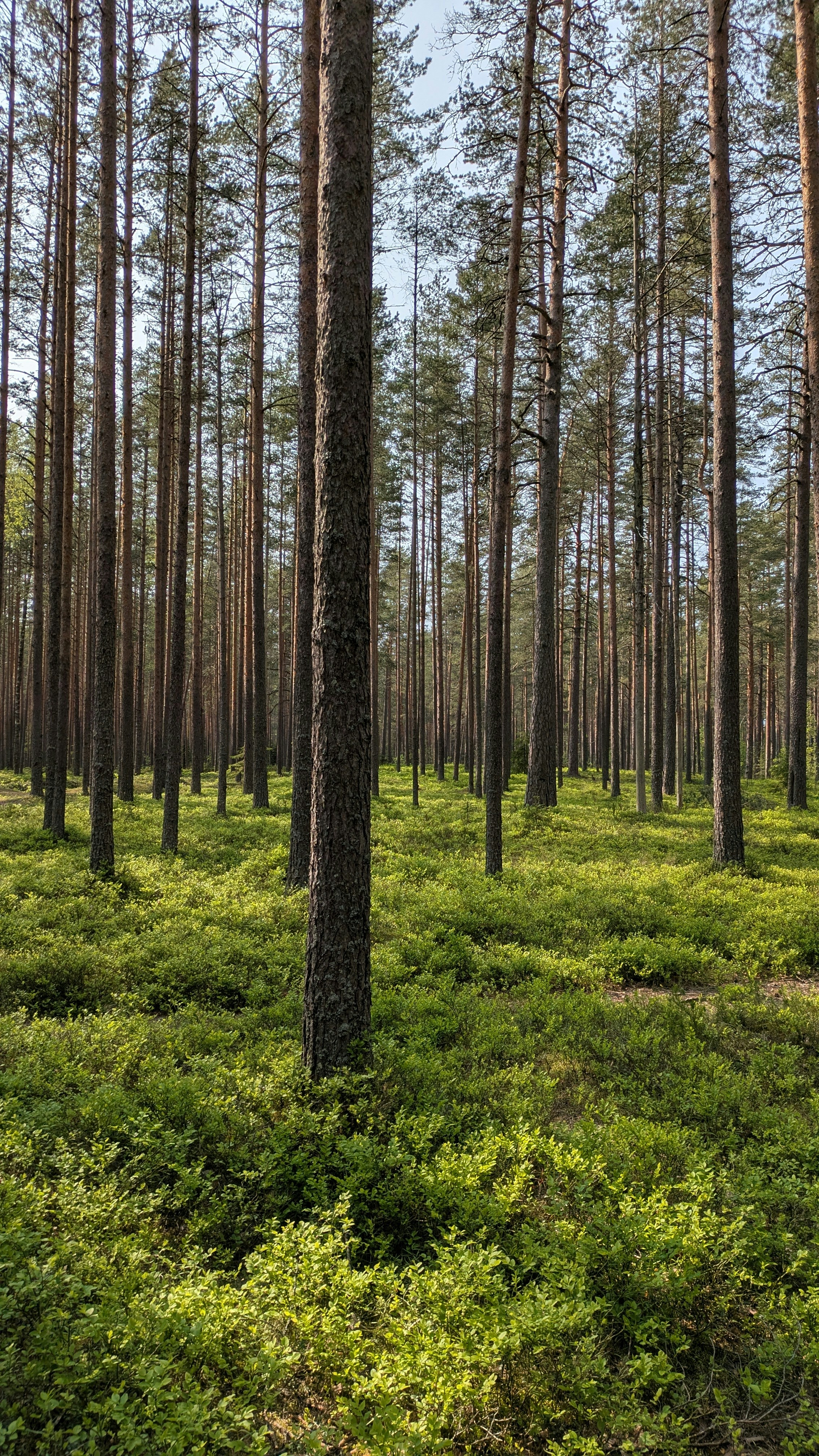 Photo by katya_astropro