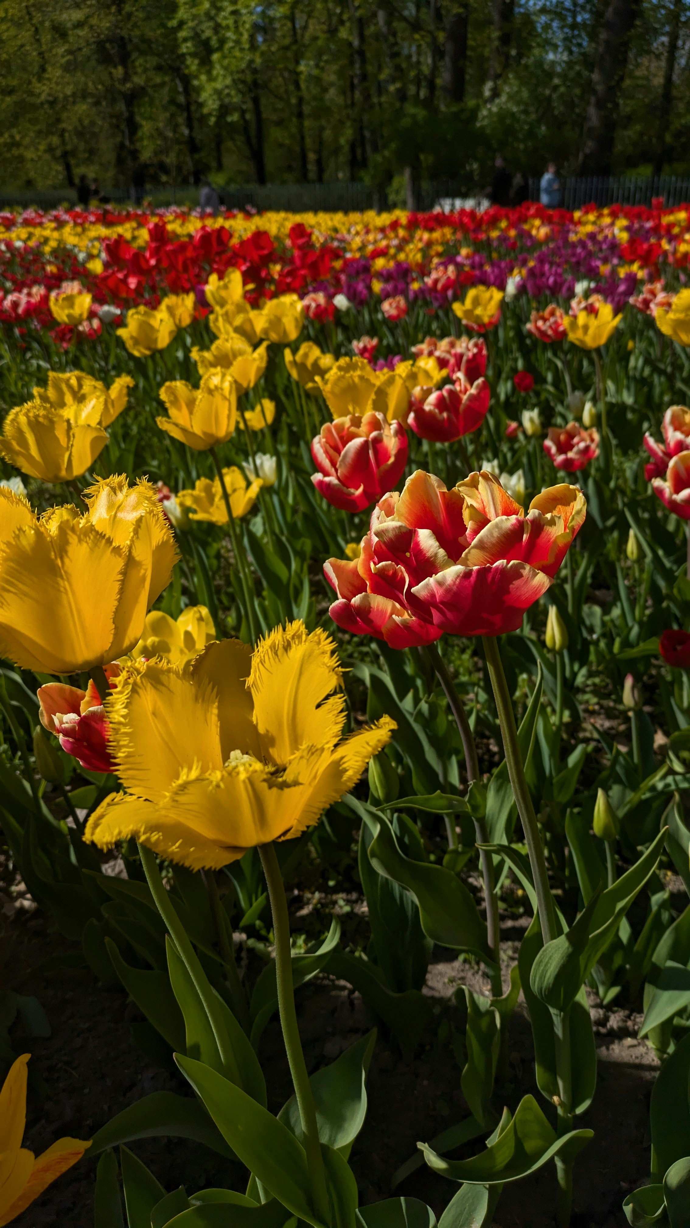 Photo by katya_astropro