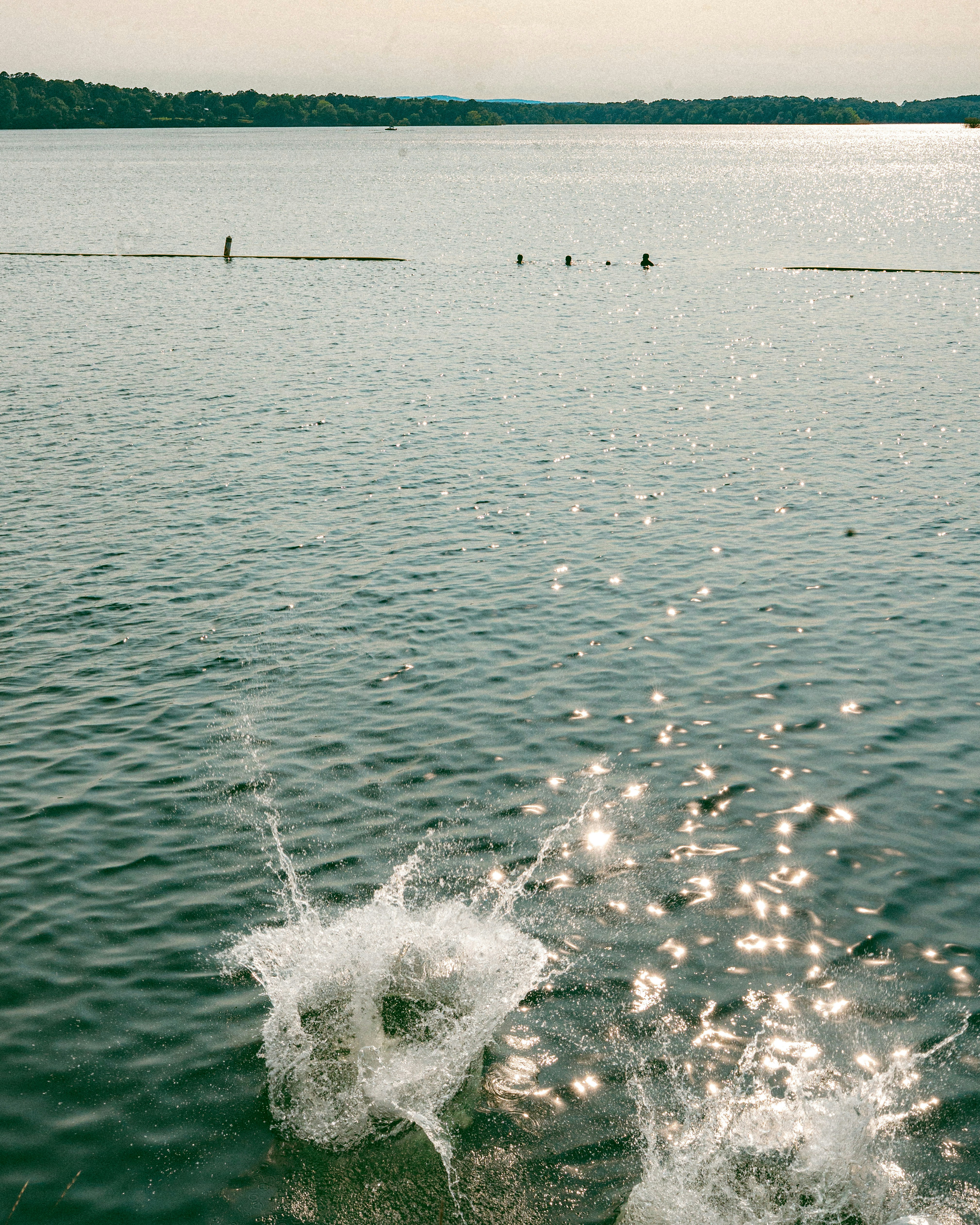 누군가 호수에 뛰어들면서 물이 튀는 순간