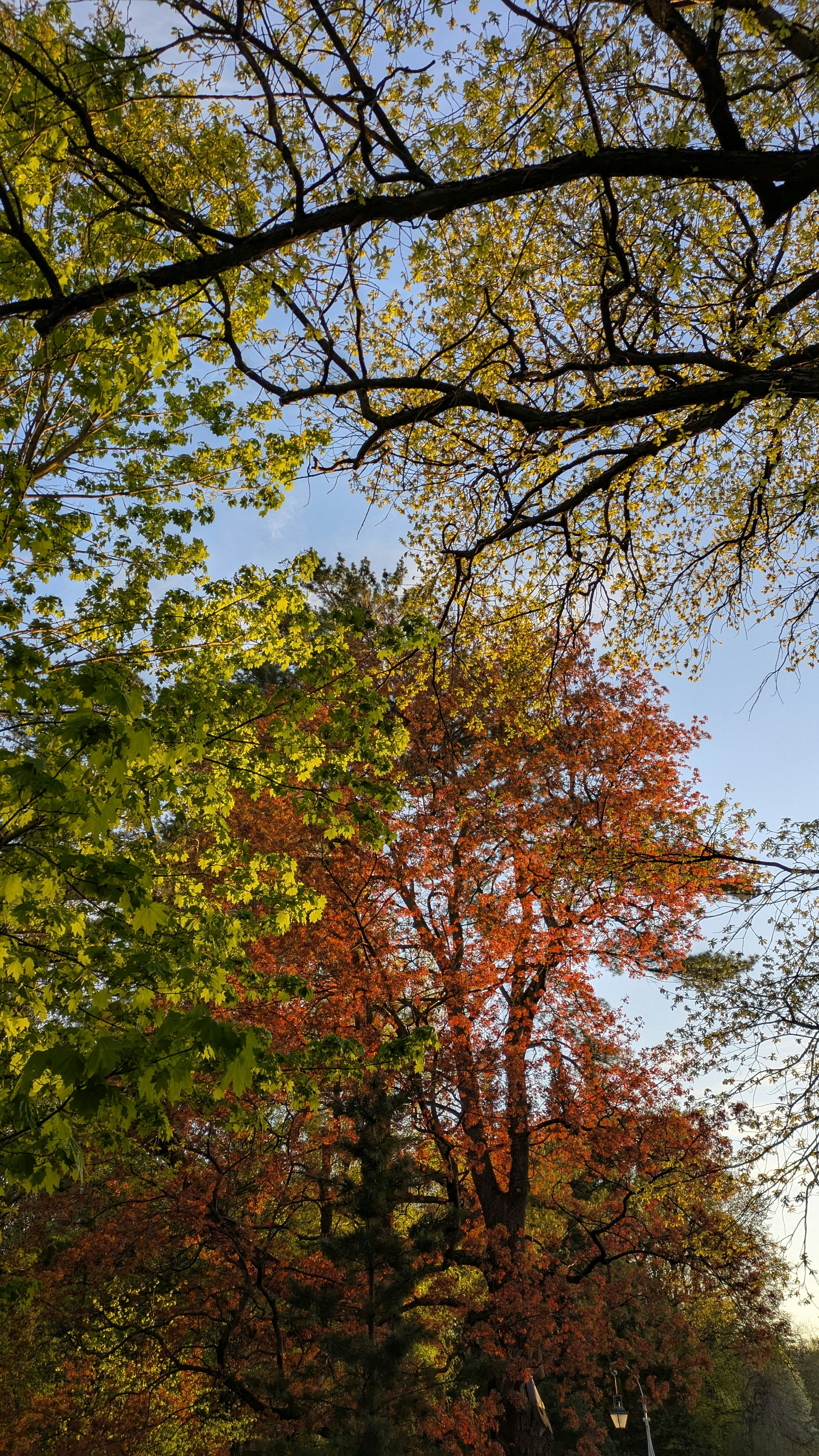 Photo by katya_astropro