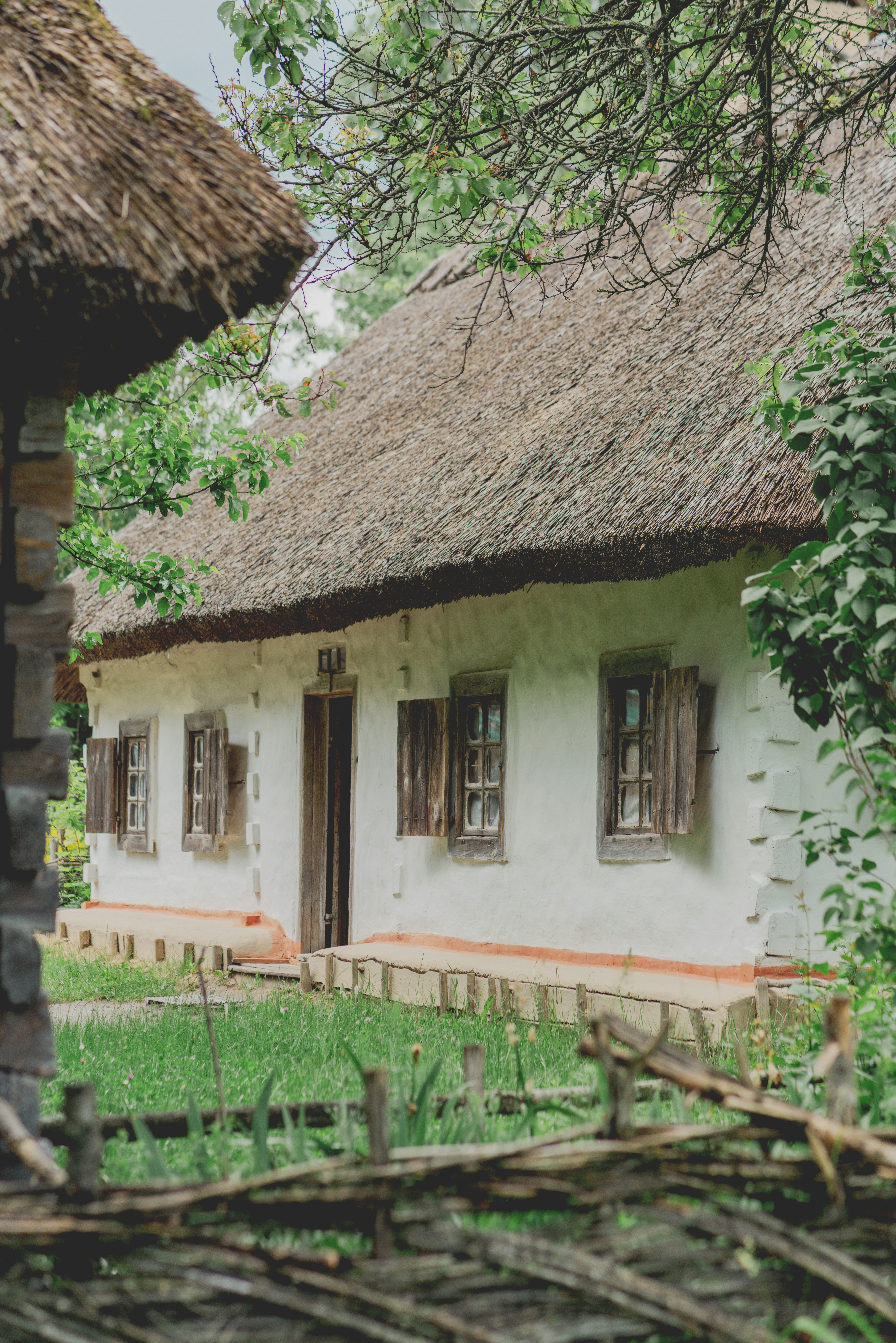 Photo by eugenivy_now