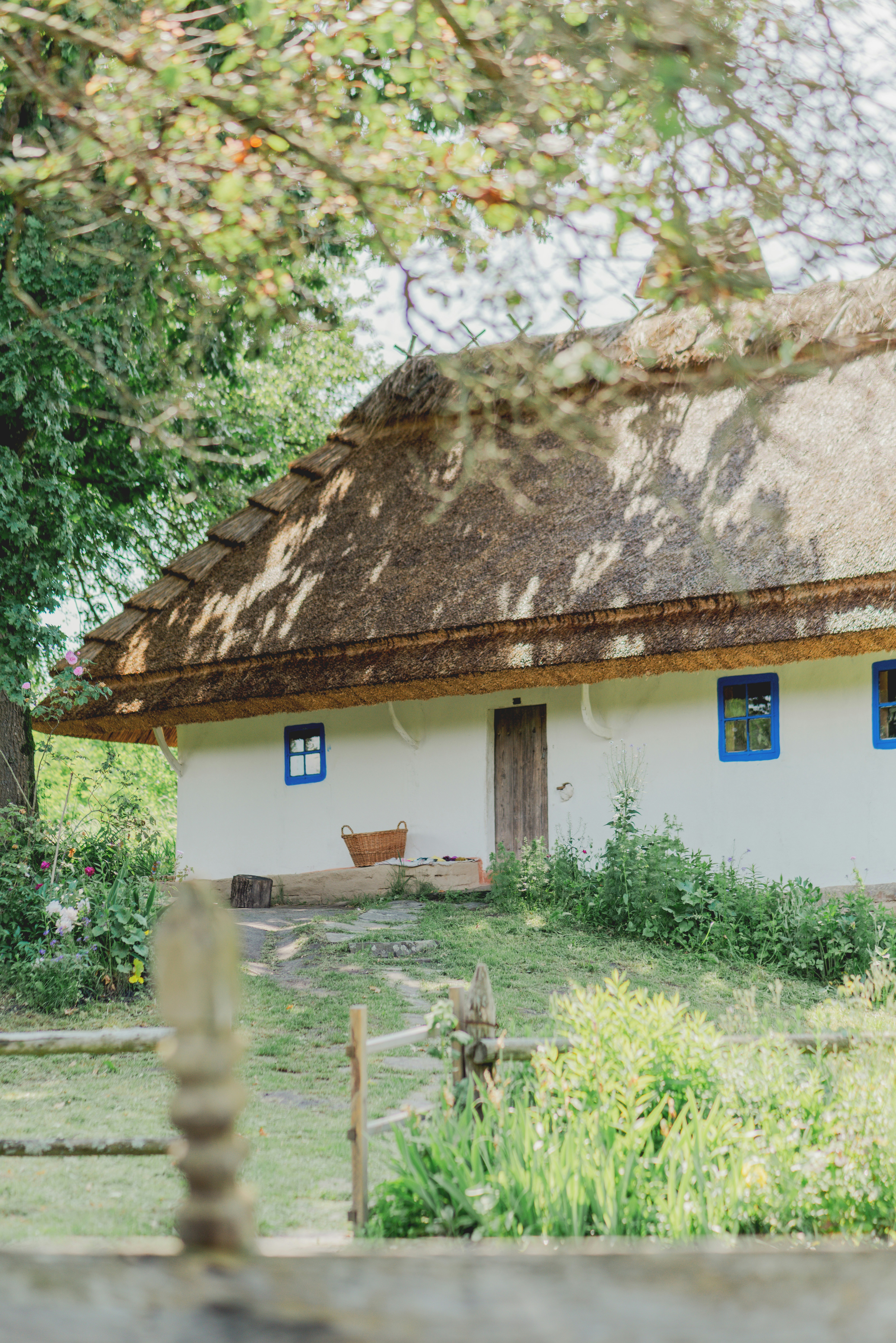 Photo by eugenivy_now