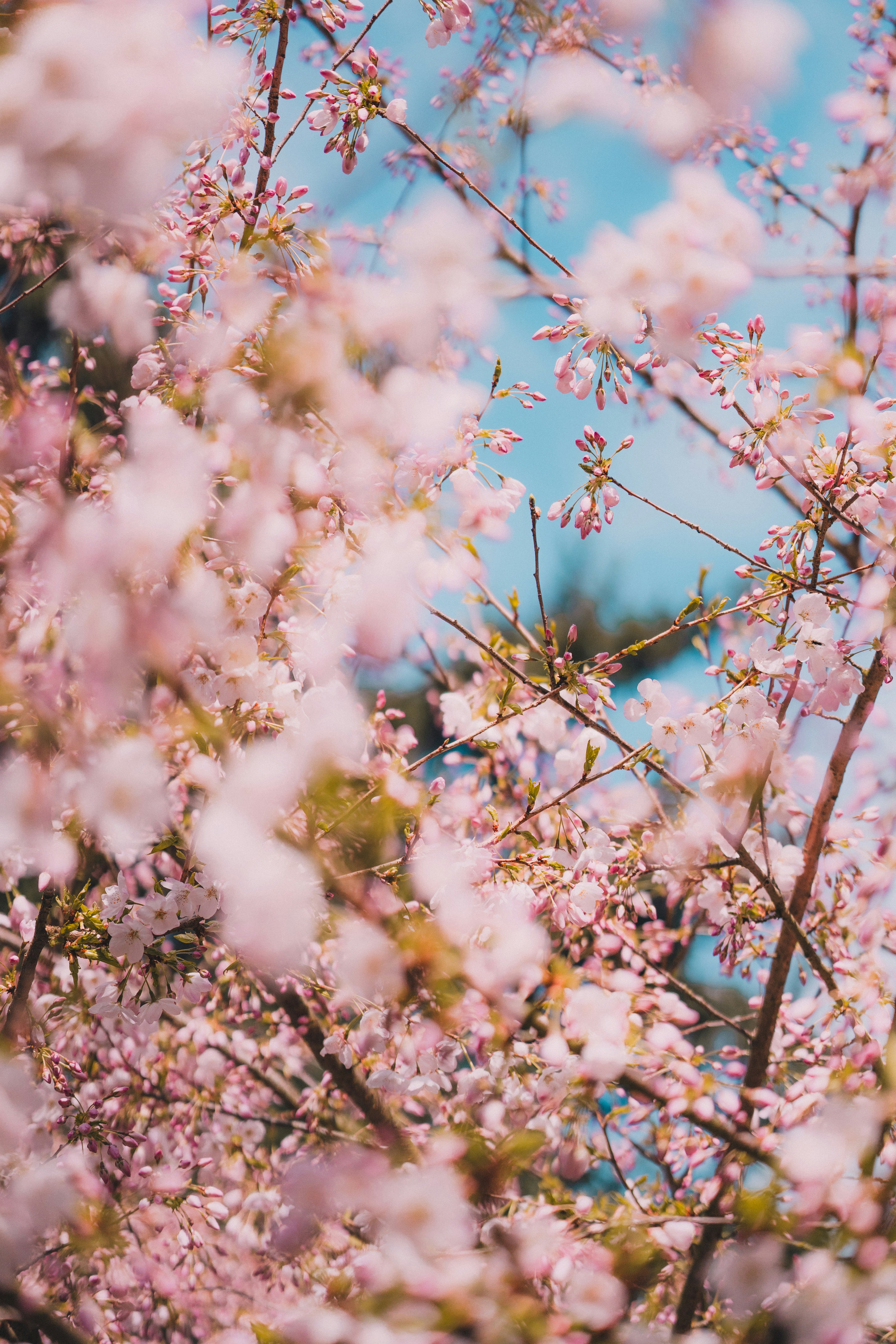 Photo by jakecarterdesigns