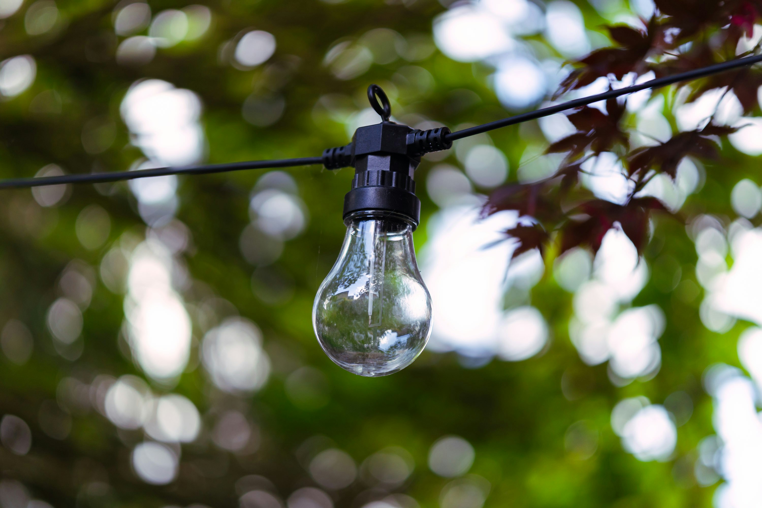 Photo by max_van_kaam