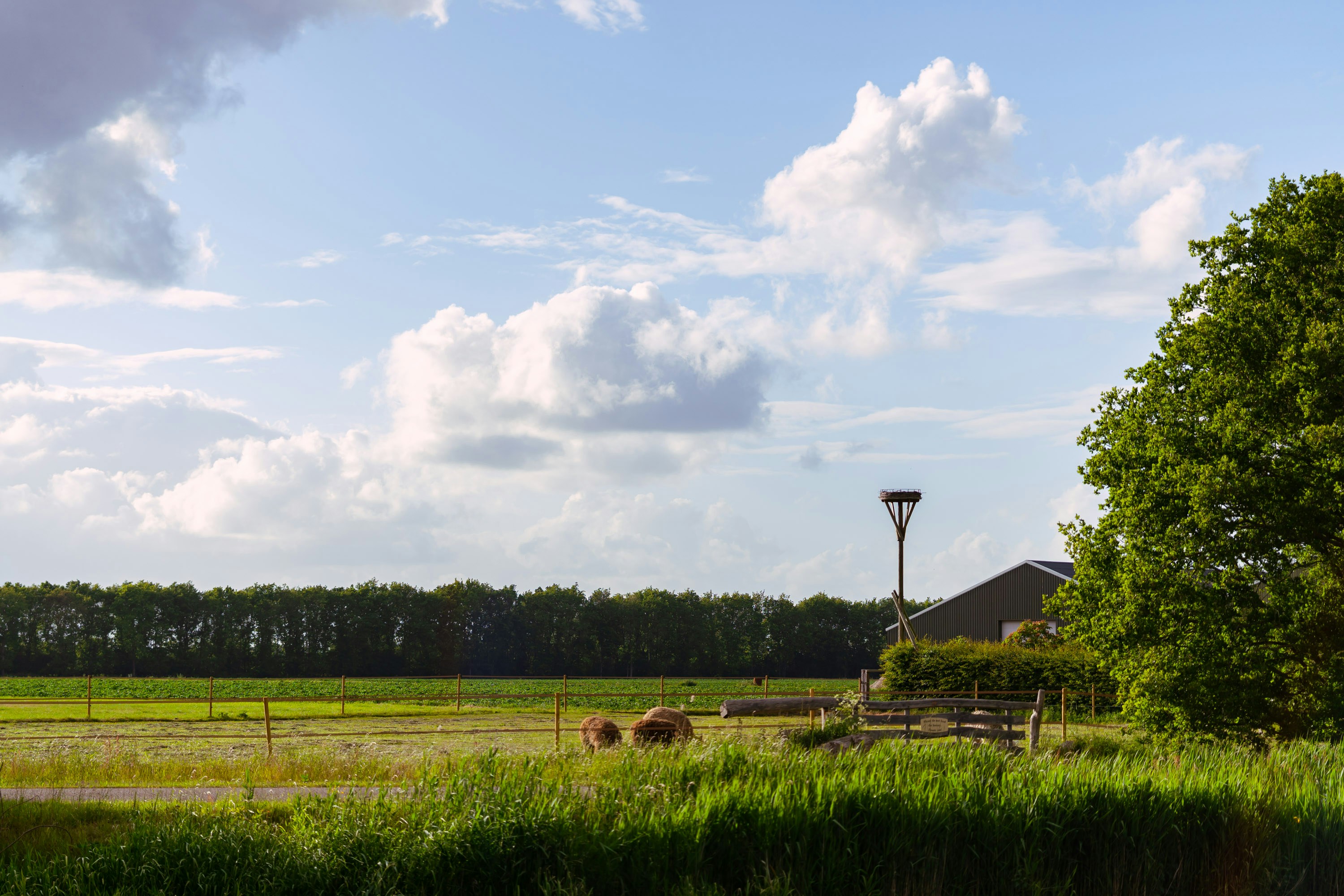 Photo by max_van_kaam