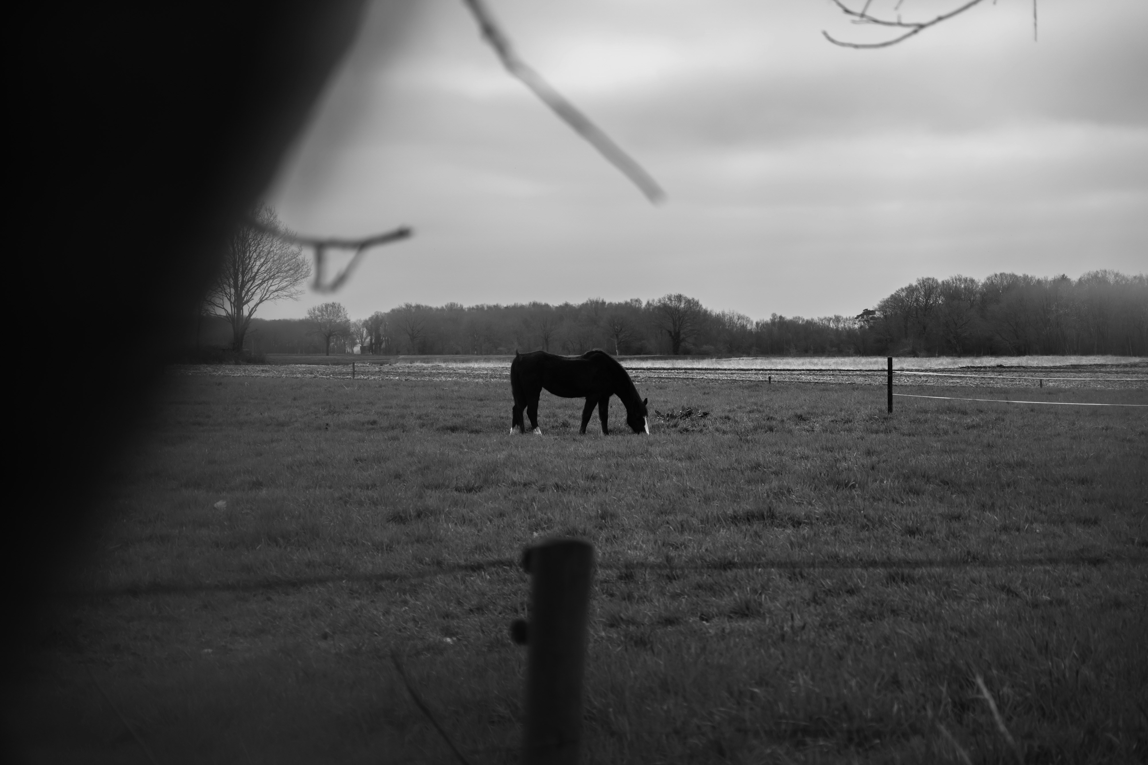 Photo by max_van_kaam