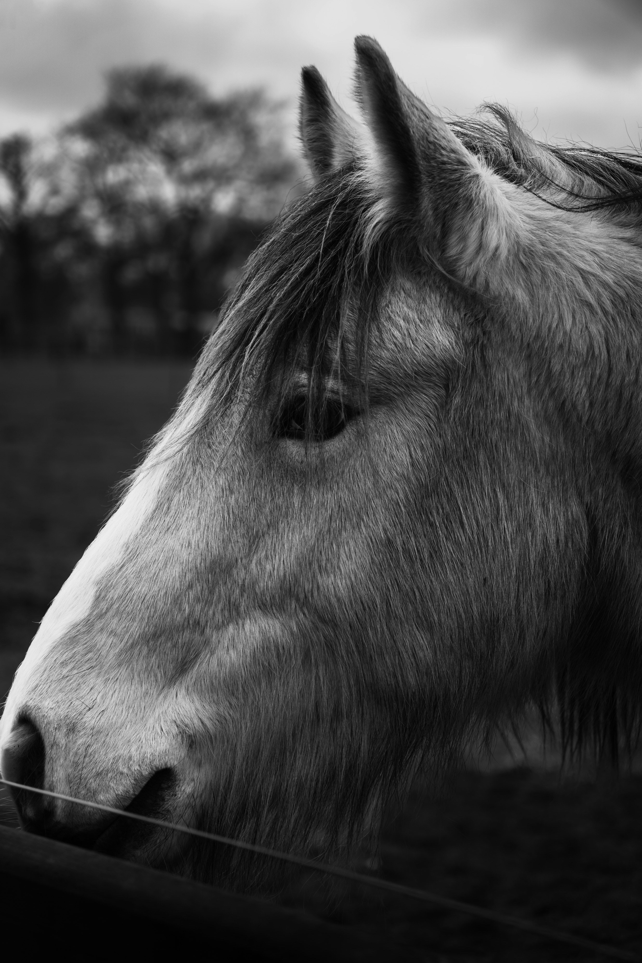 Photo by max_van_kaam