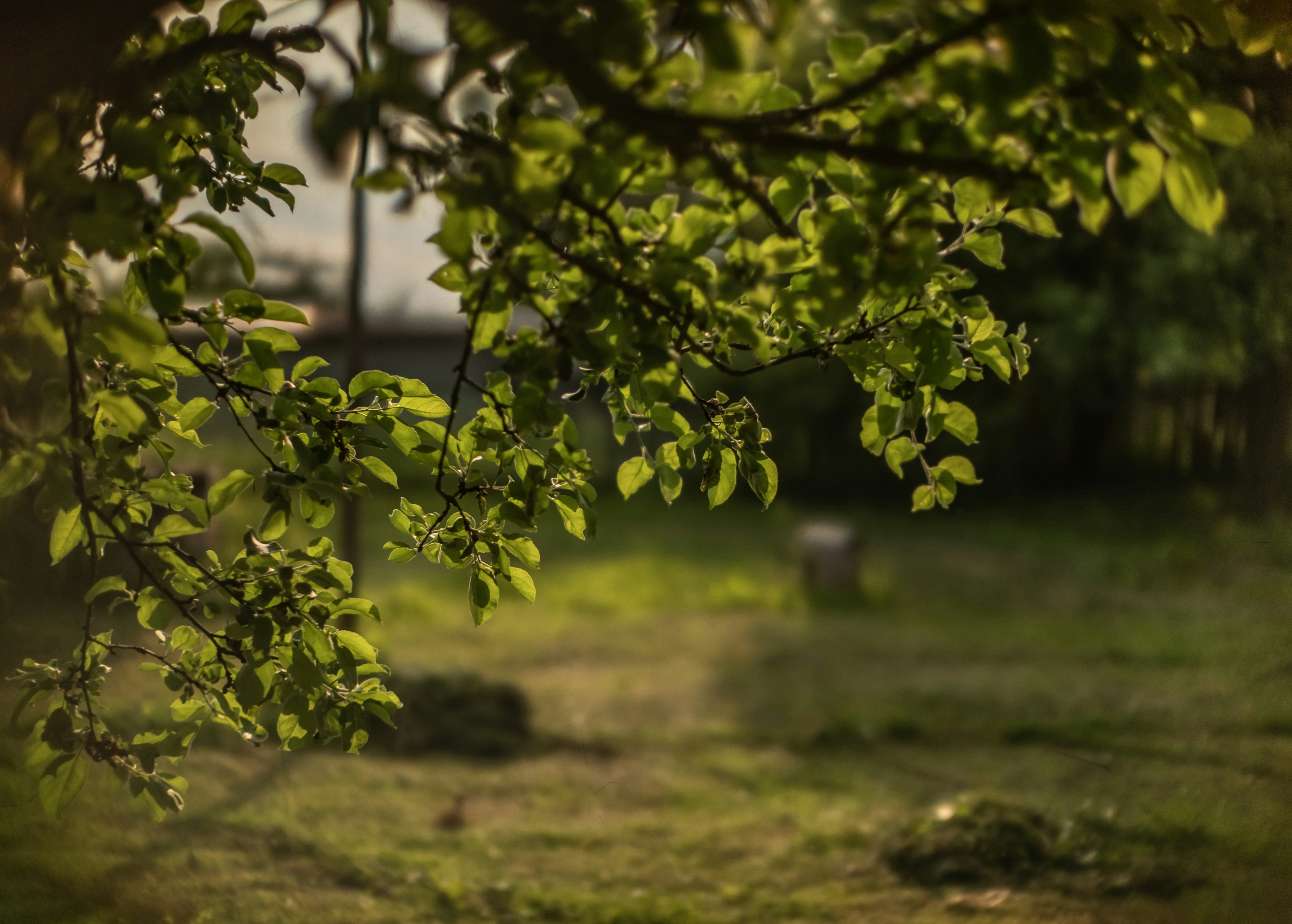 Photo by andrilliardbond