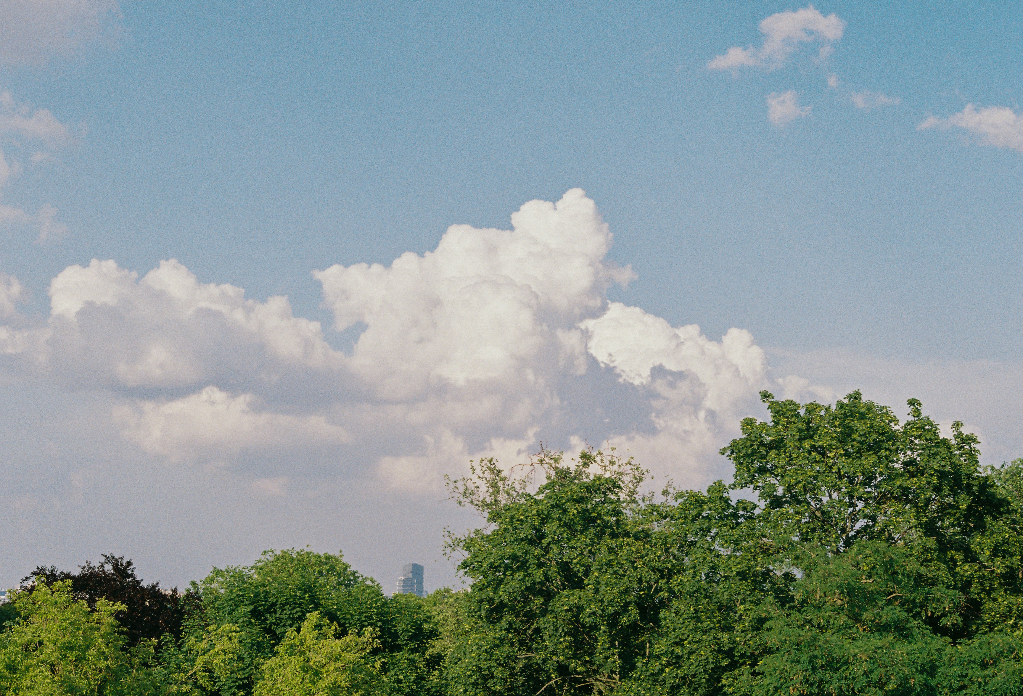 Photo by luca_severin