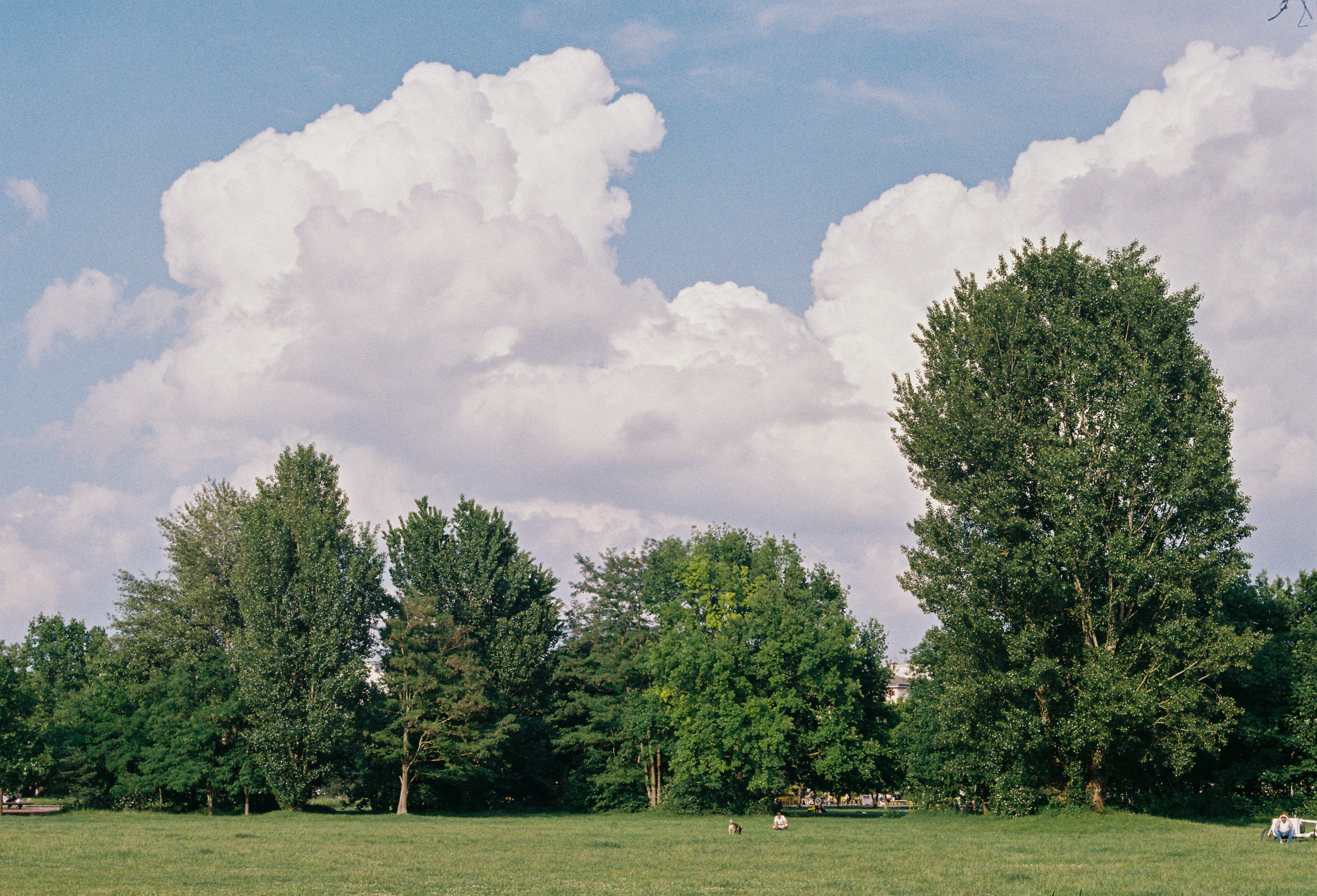 Photo by luca_severin