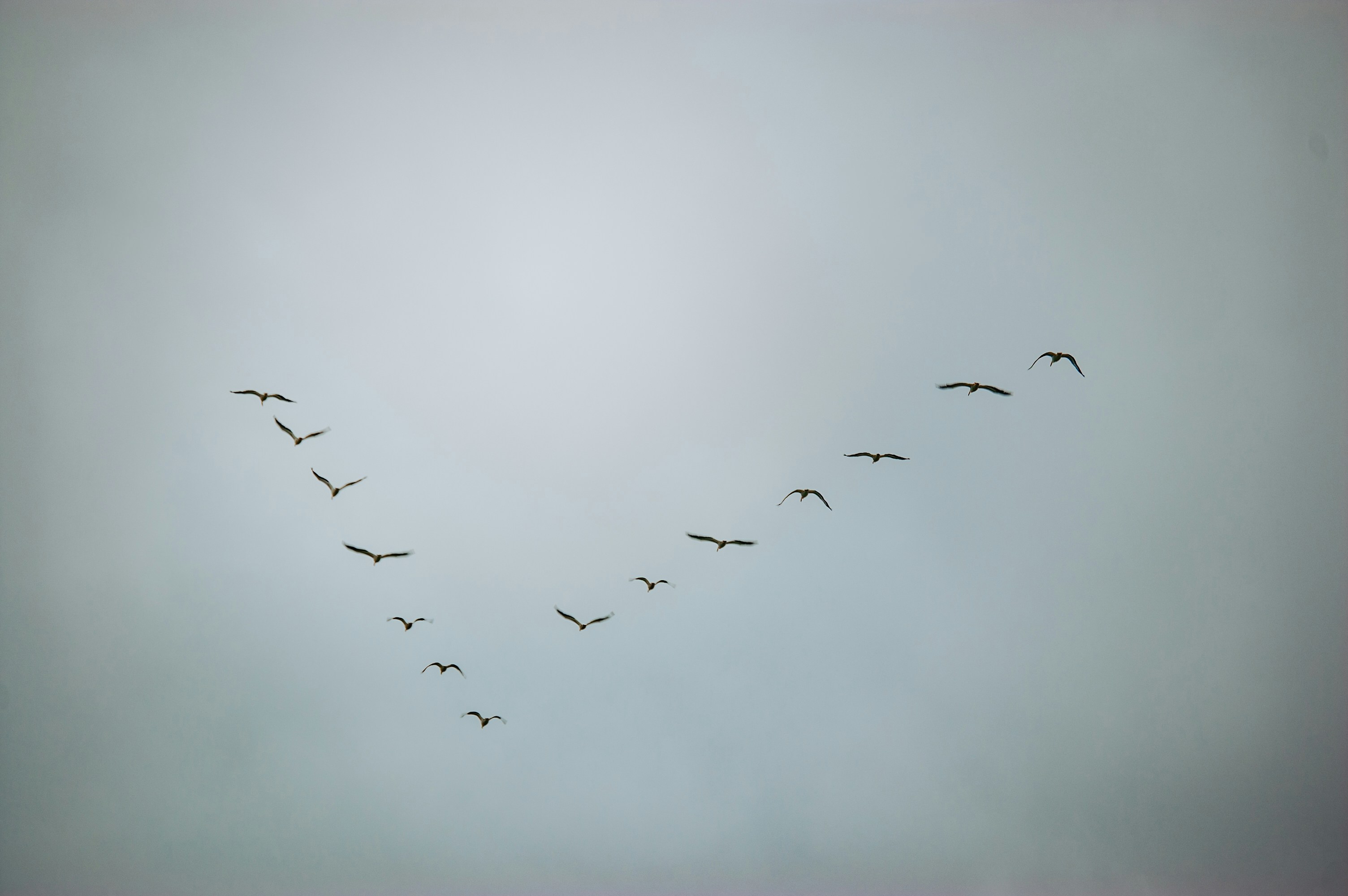 Photo by aidanlynchphotography