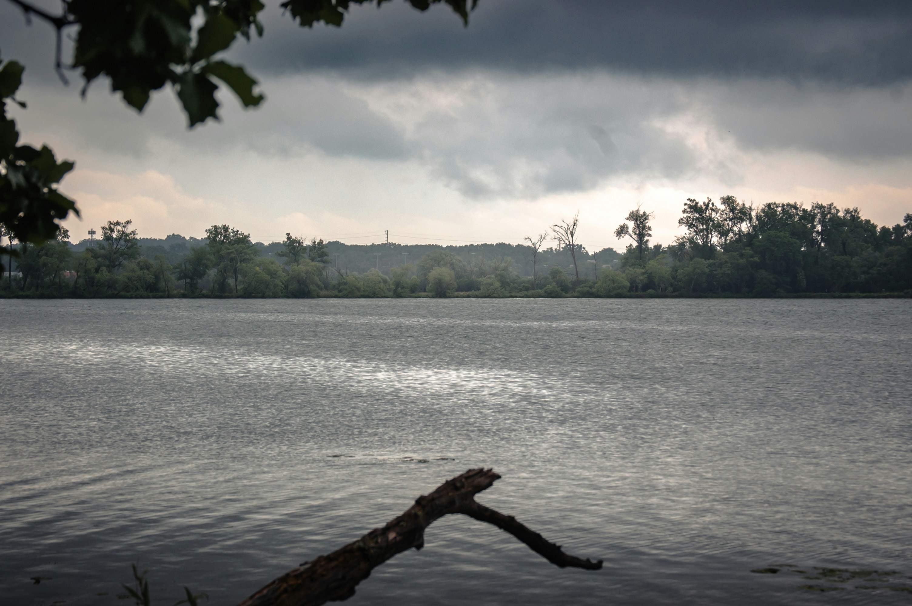 Photo by aidanlynchphotography