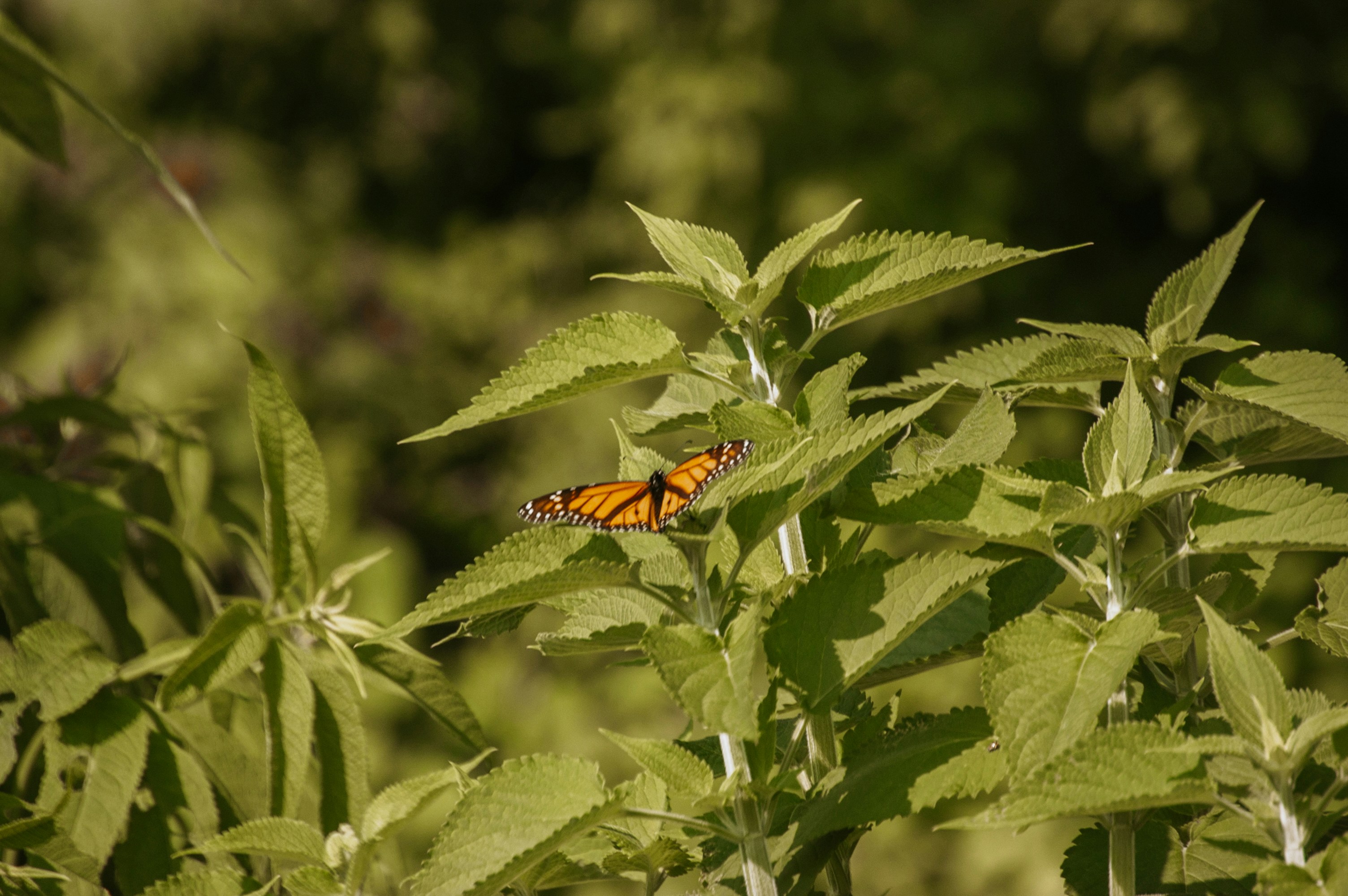 Photo by aidanlynchphotography