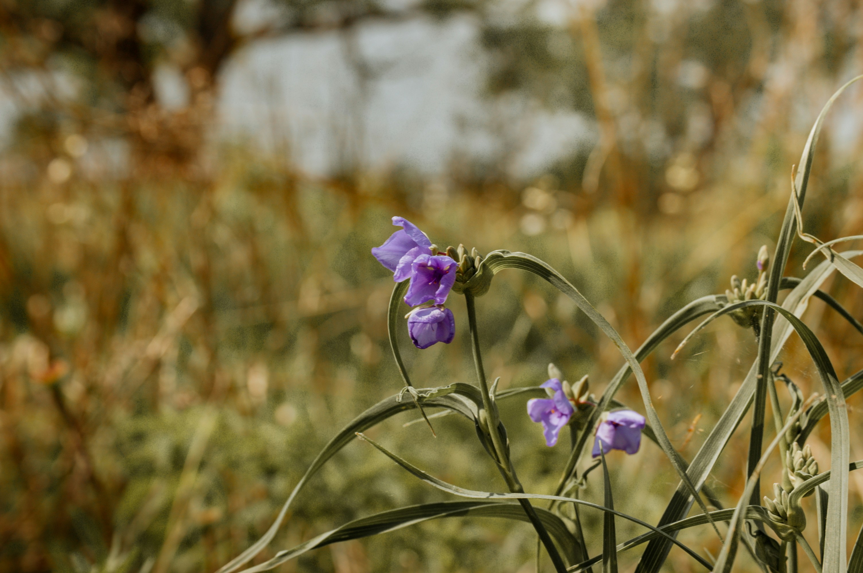 Photo by aidanlynchphotography