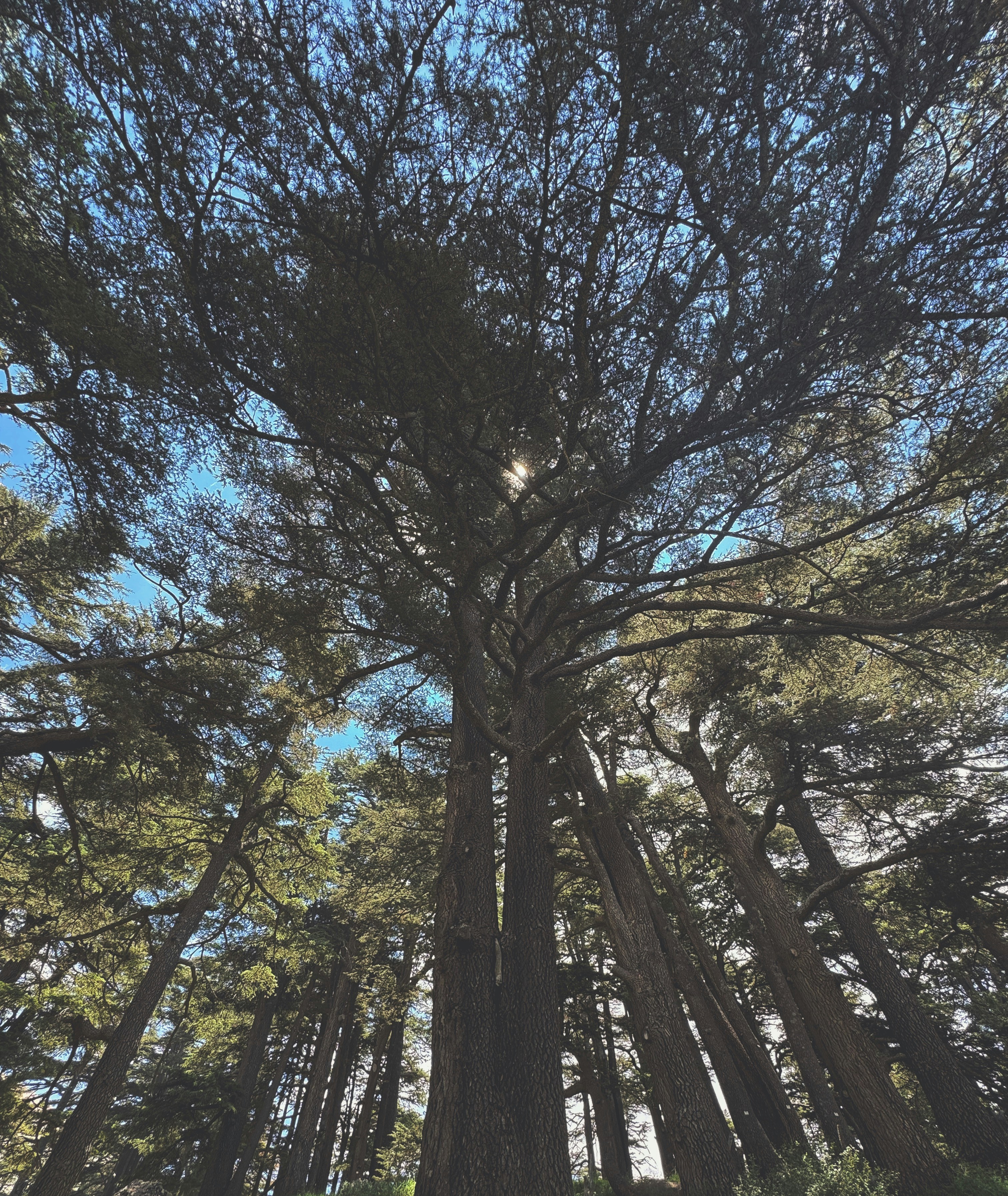 Photo by jekkiliciouss