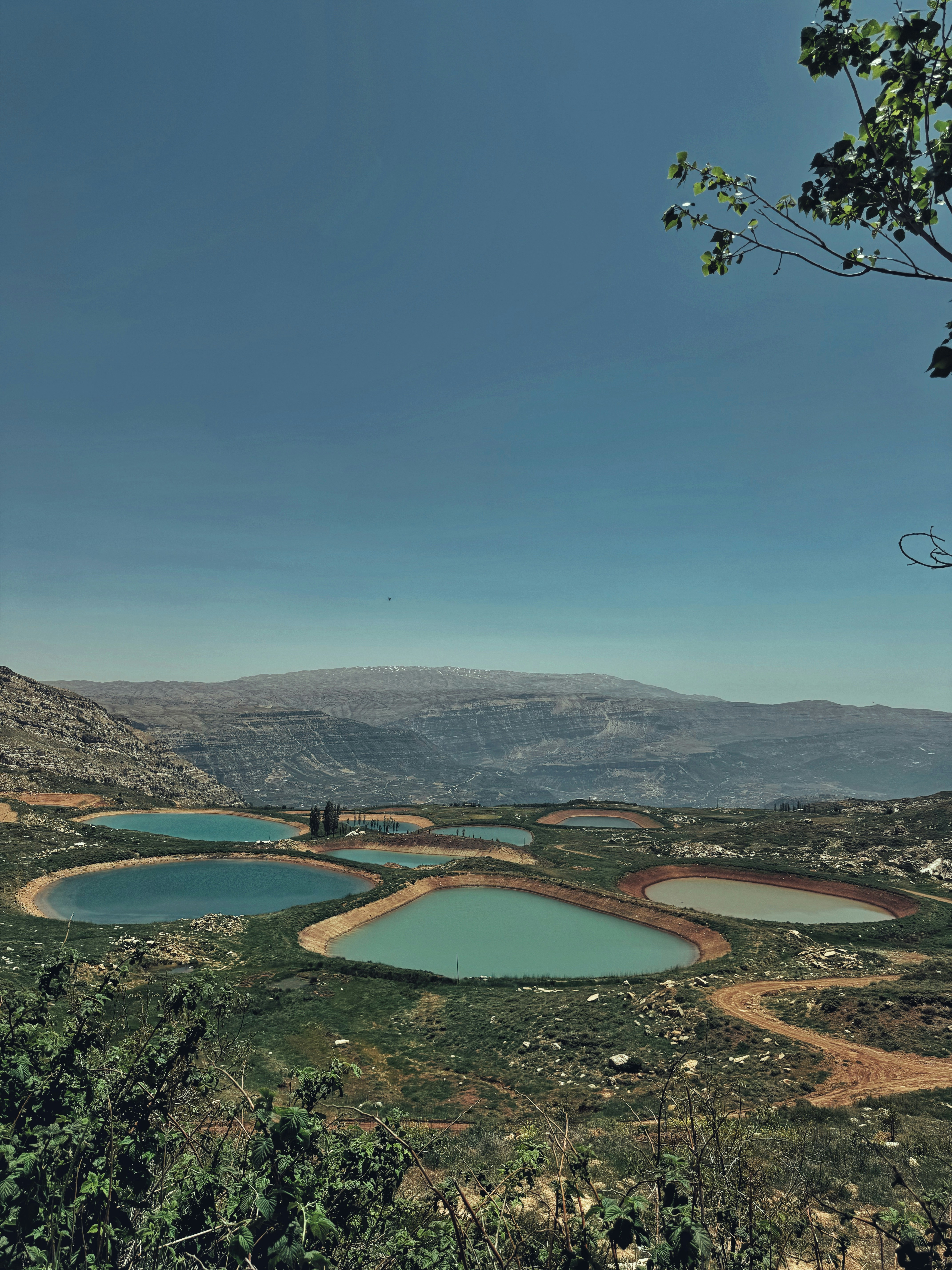 Photo by jekkiliciouss