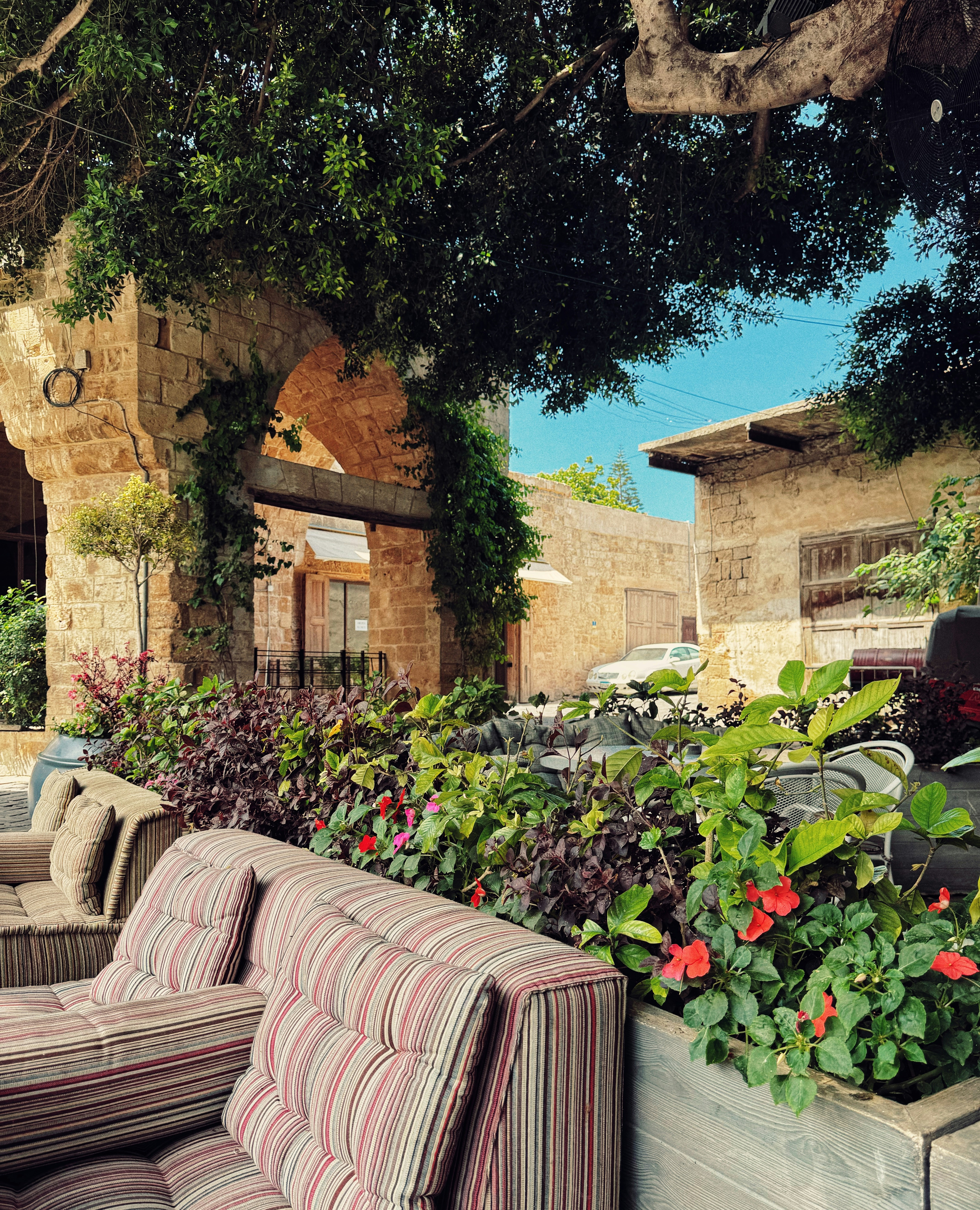 Photo by jekkiliciouss