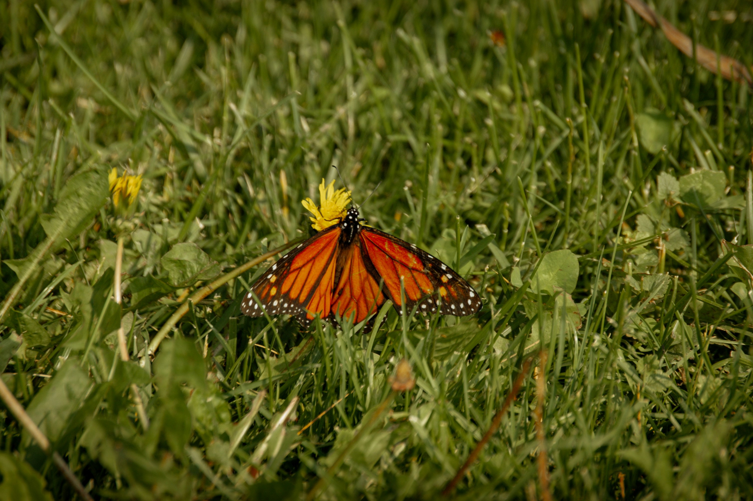 Photo by aidanlynchphotography
